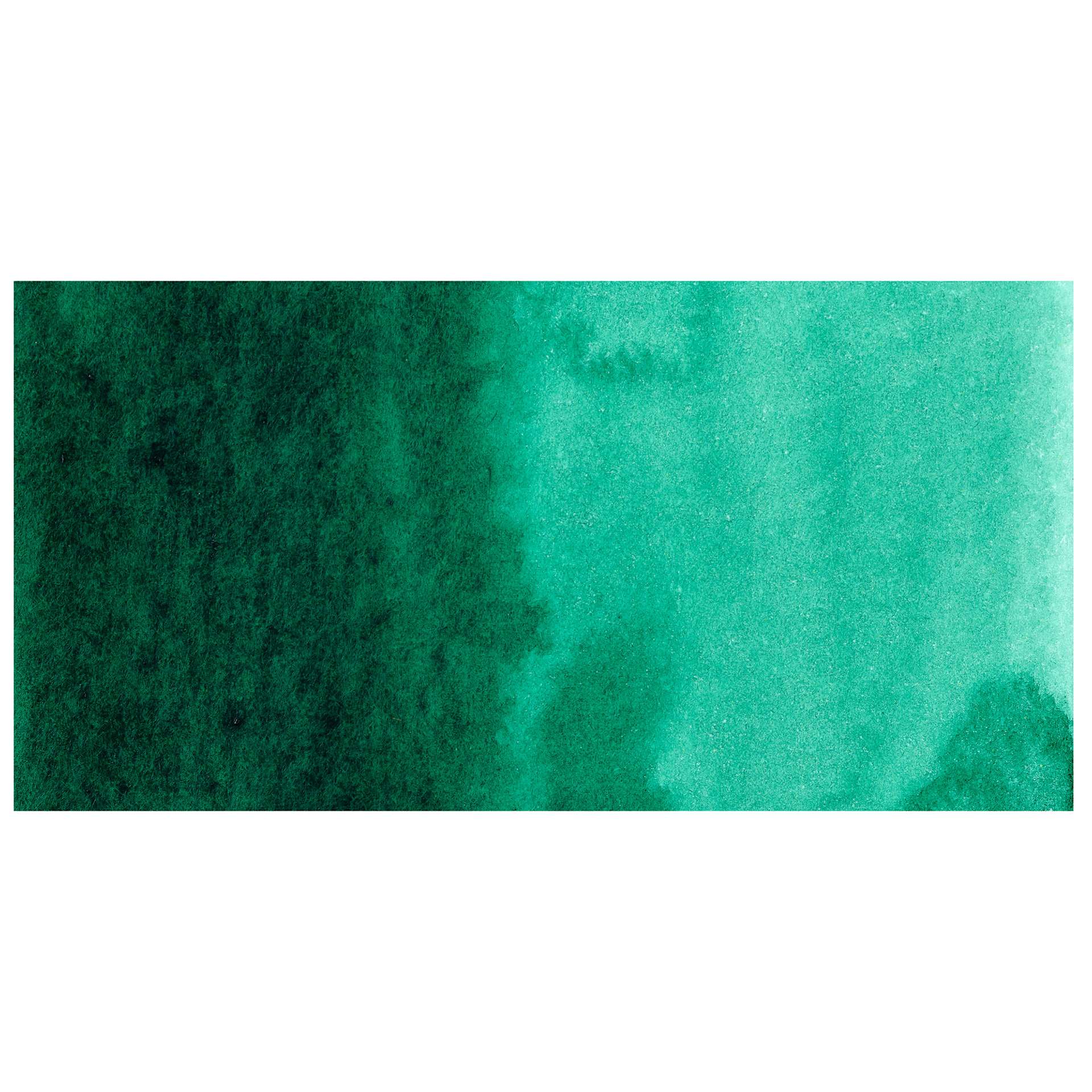Kuretake Gansai Tambi Watercolor Pan - Forest Green swatch