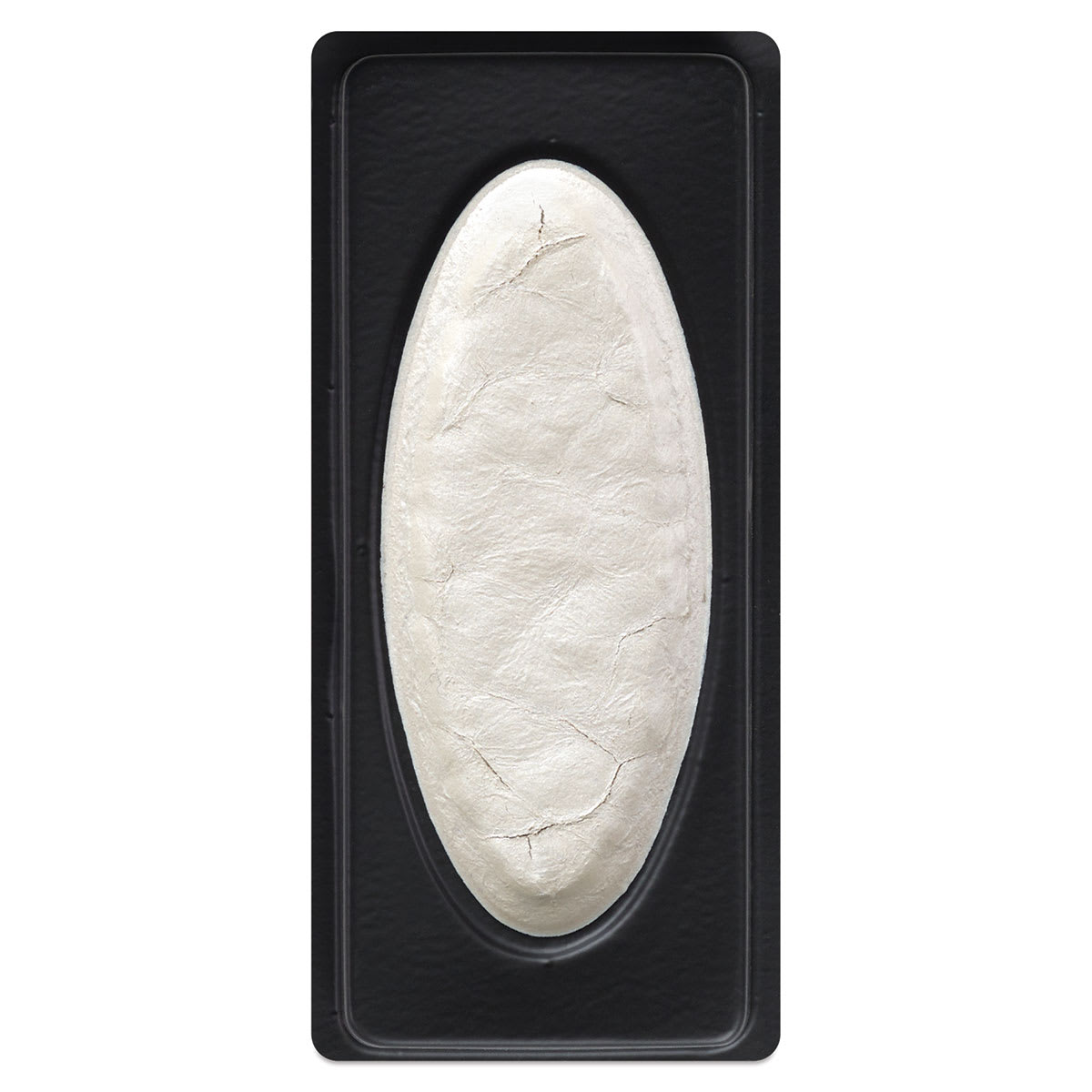 Richeson Collegiate Semi-Moist Watercolor Pans - closeup of Mirror white pan