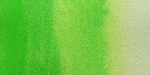 M. Graham Artists' Watercolor - Permanent Green Pale swatch