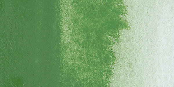 Grumbacher Finest Artists' Watercolor - Chromium Oxide Green swatch