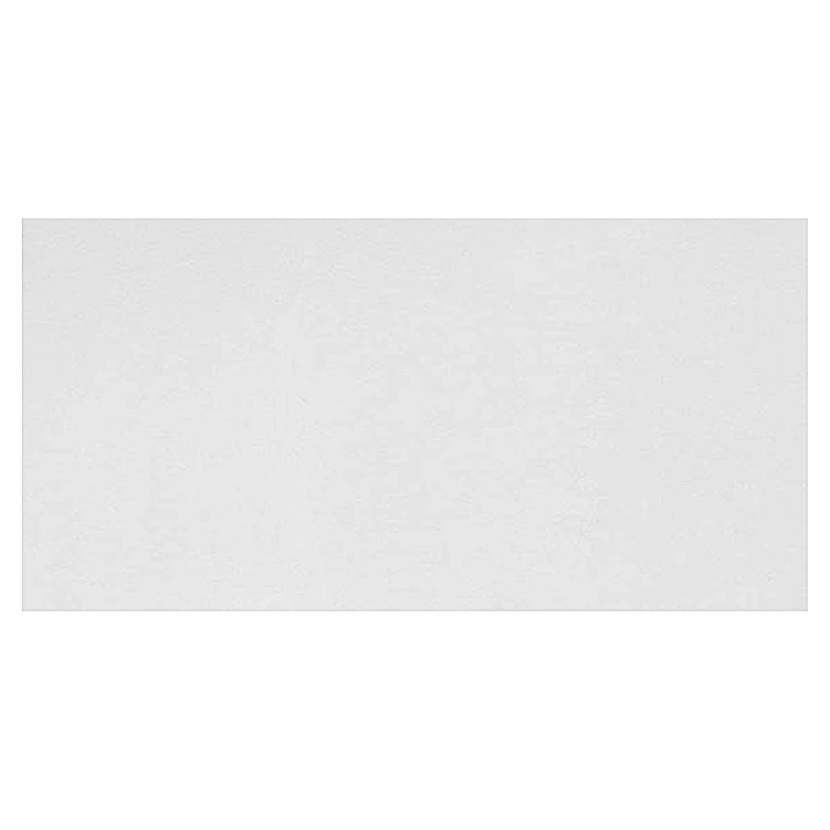 Daniel Smith Extra Fine Watercolor  - Chinese White swatch