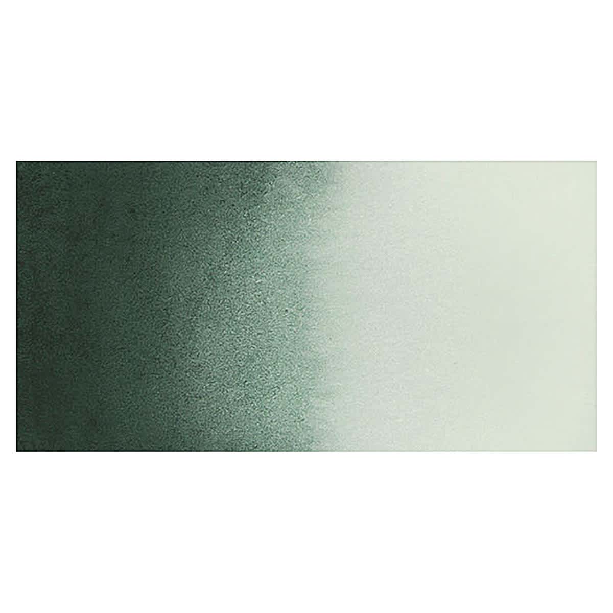 Daniel Smith Extra Fine Watercolor  - Perylene Green swatch