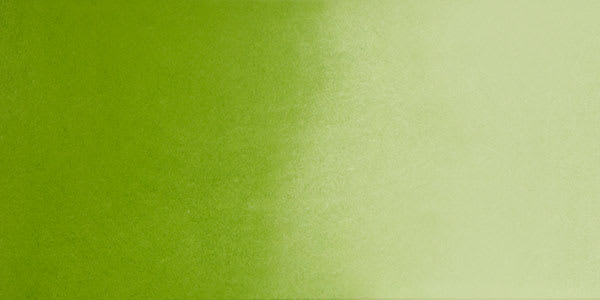 Daniel Smith Extra Fine Watercolor  - Sap Green Deep swatch