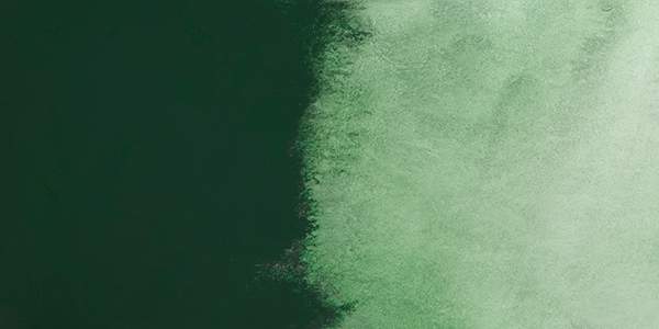 QoR Modern Watercolor - Hooker's Green swatch