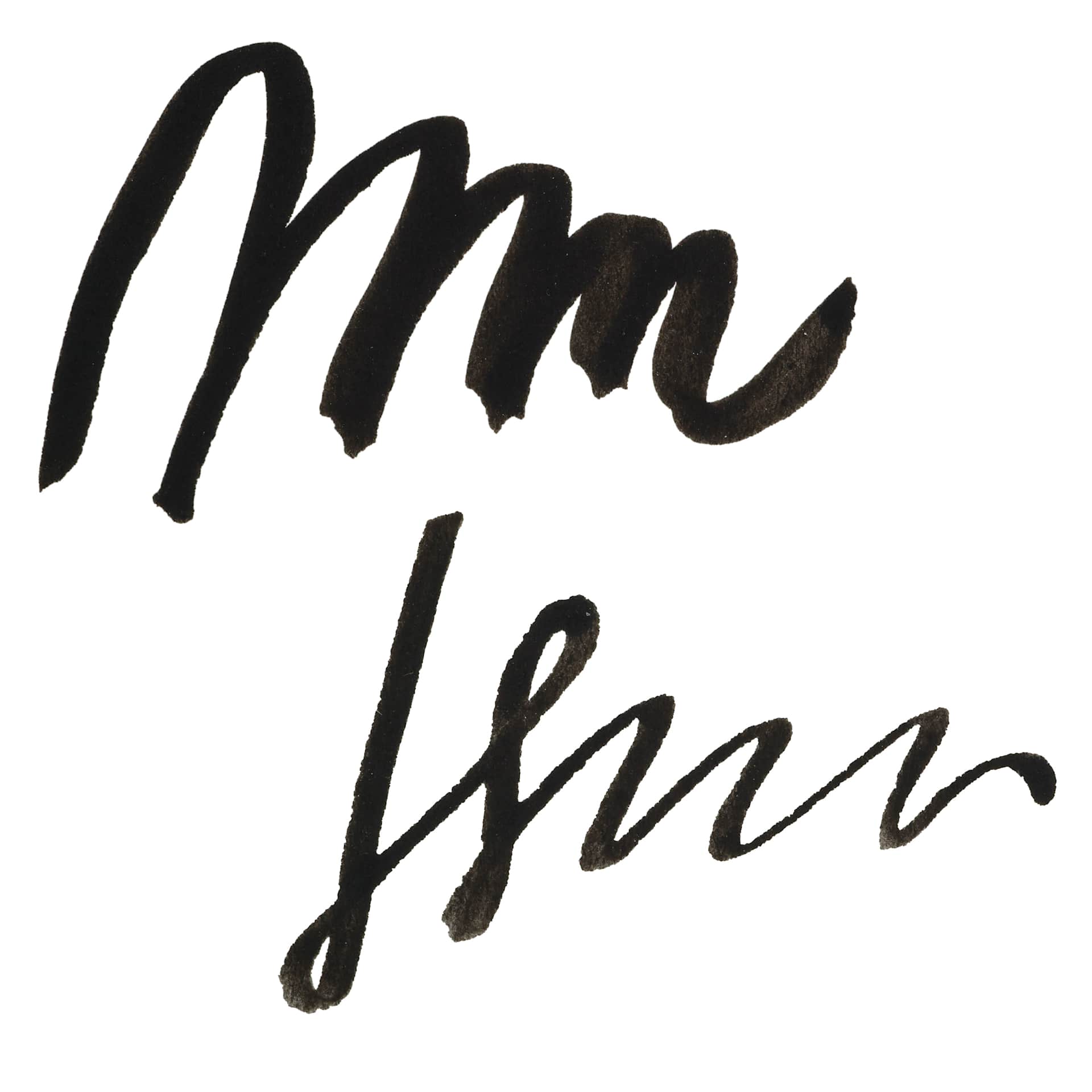 Noodler's Ink Fountain Pen Ink - Eel Black, swatch