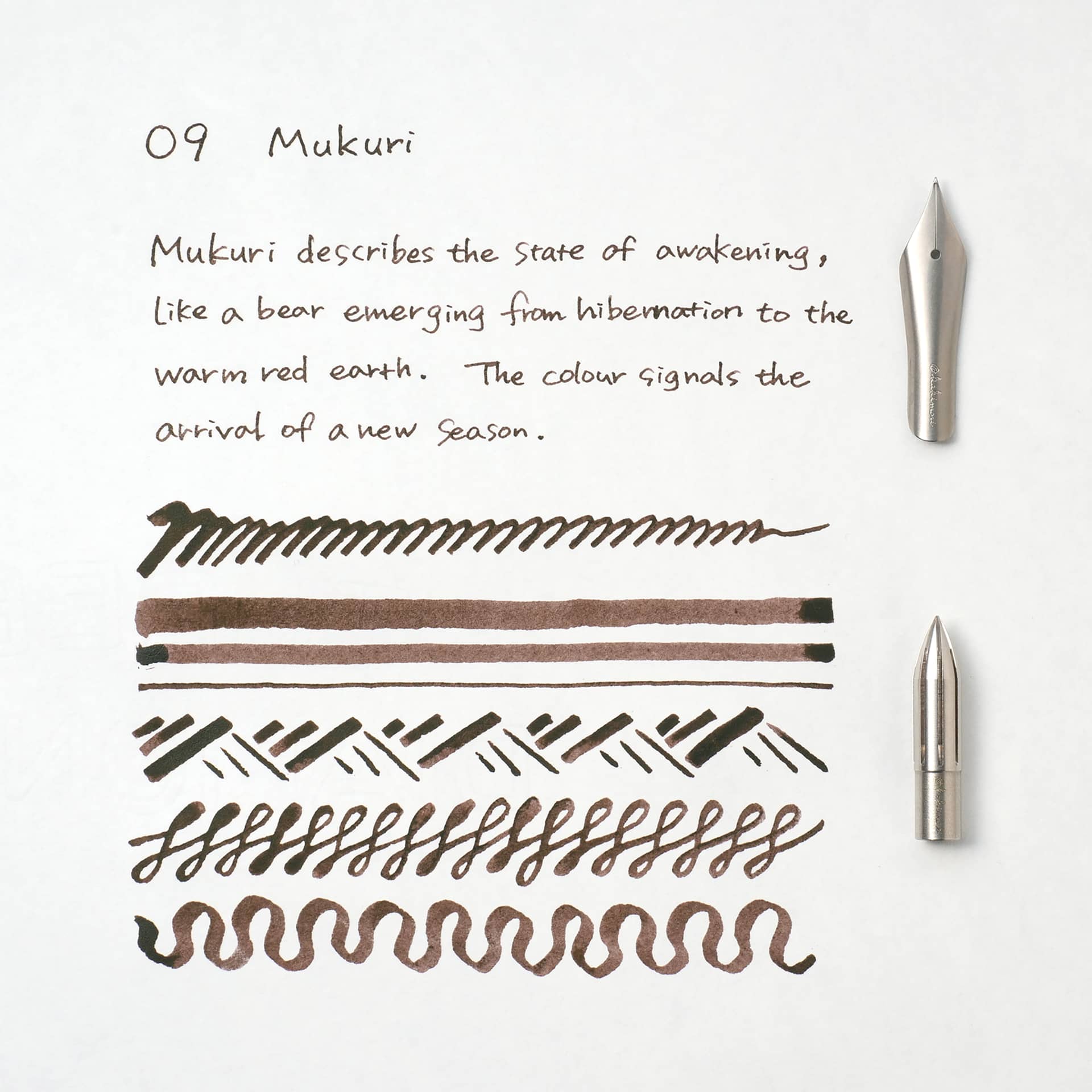 Kakimori Pigment Ink - 09 Mukuri, ink and pen stroke swatch comparison between nibs (not included)