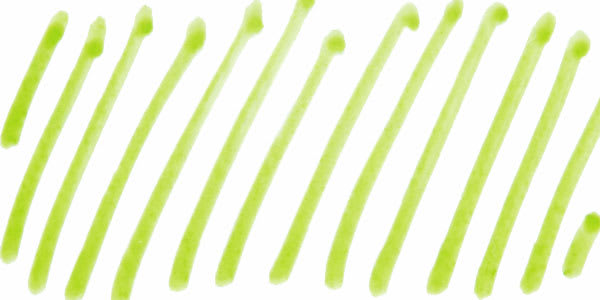 Pebeo Vitrea 160 Glass Paint - Aniseed Green swatch