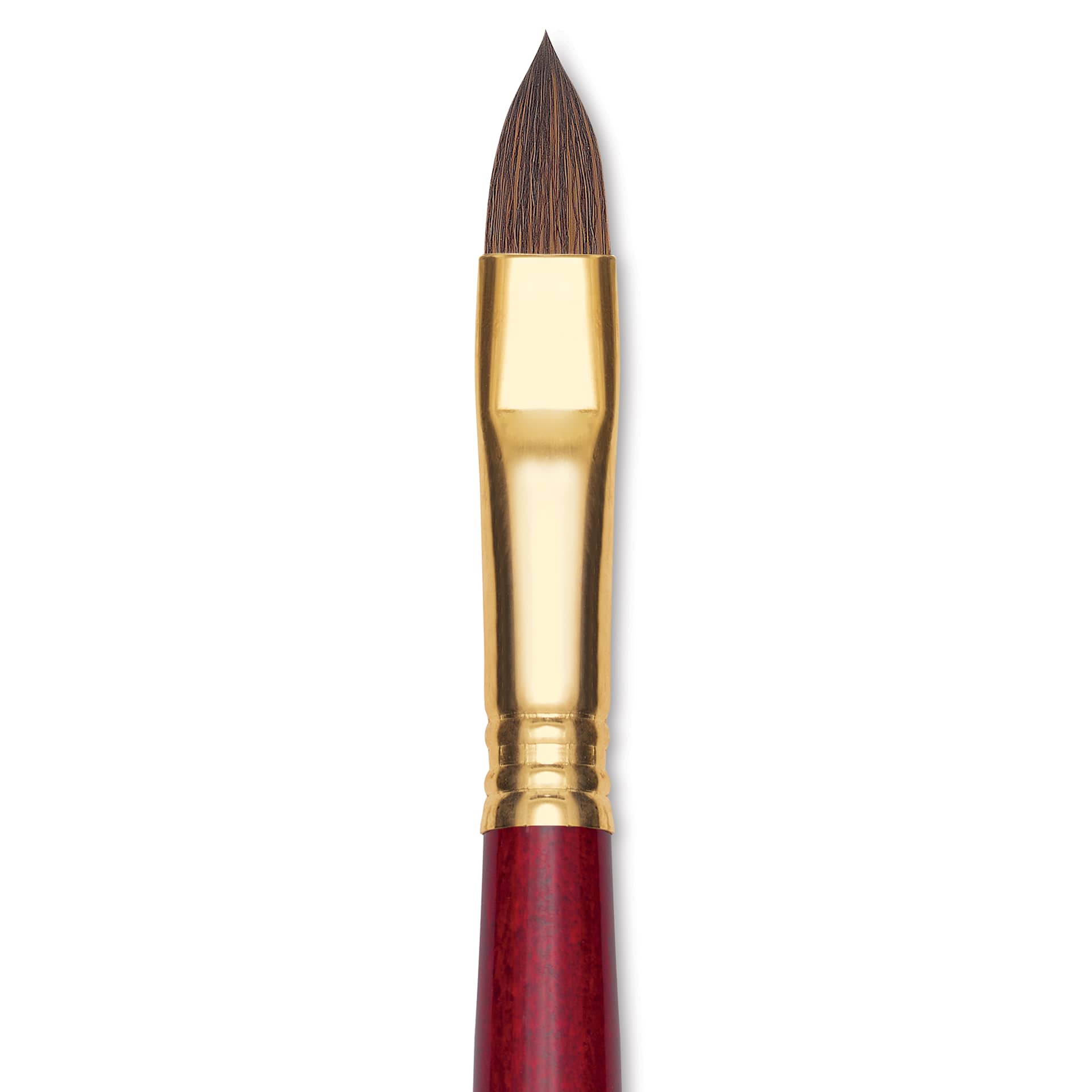 Blick Master Synthetic Kolinsky Brush - Short Handle, Filbert, Size 12, close-up