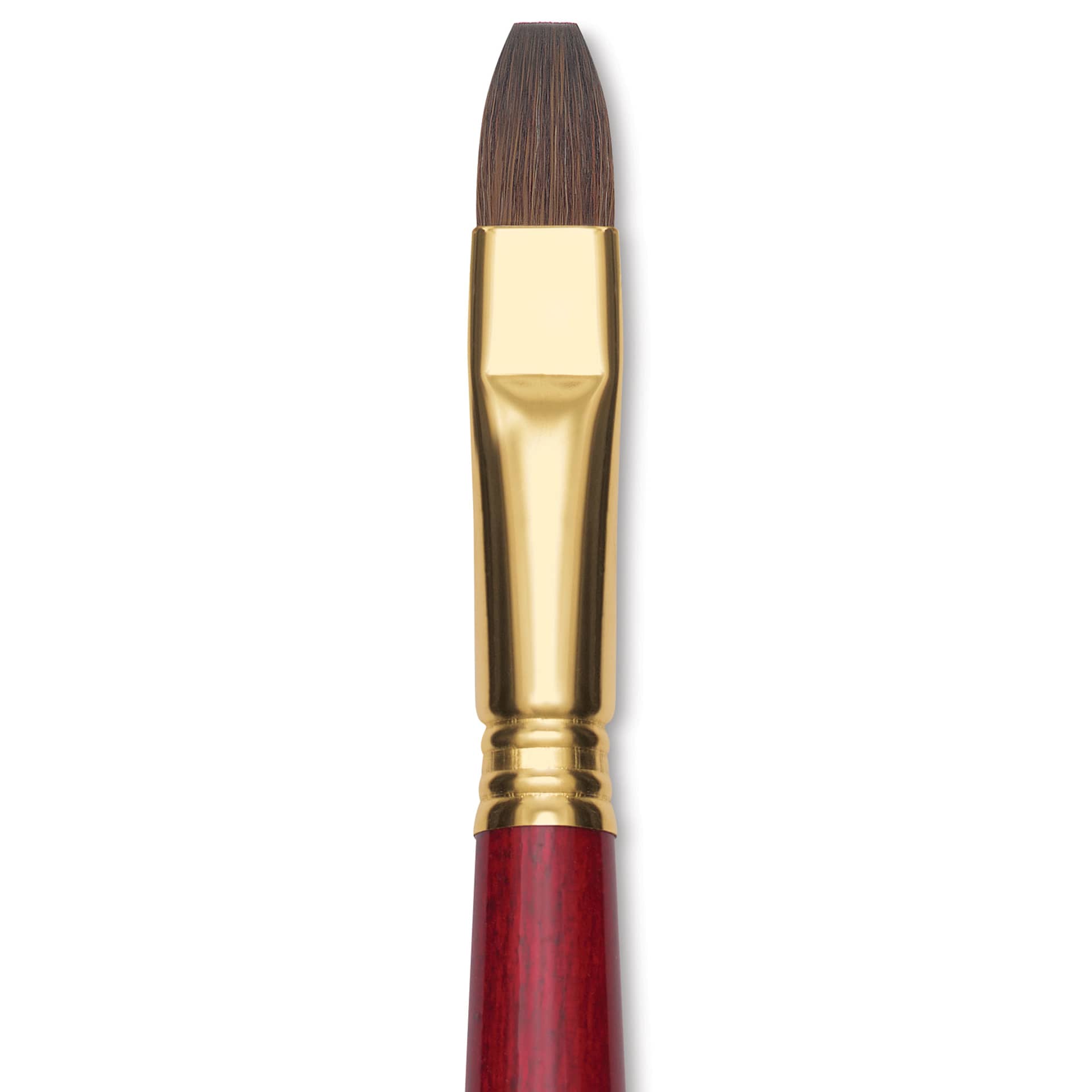 Blick Master Synthetic Kolinsky Brush - Long Handle, Bright, Size 14, close-up