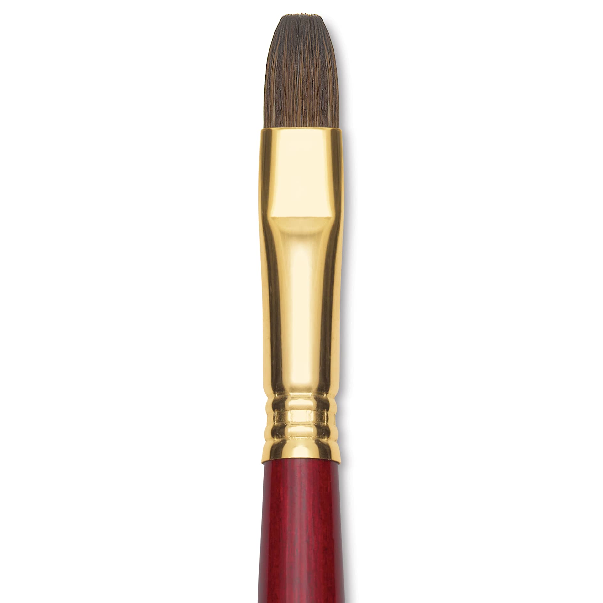 Blick Master Synthetic Kolinsky Brush - Short Handle, Bright, Size 12, close-up