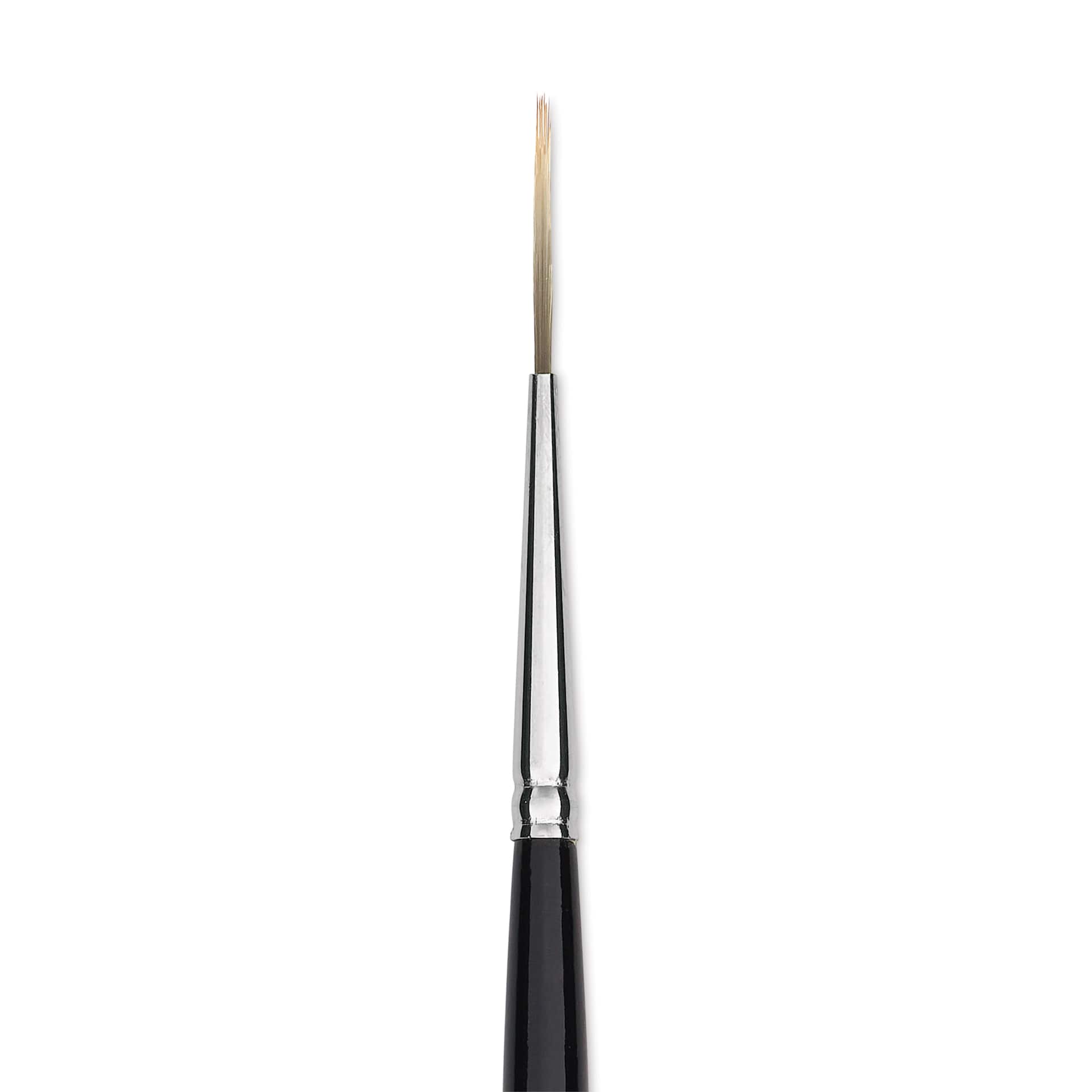 Trekell Spectrum Brush - Script Liner, Long Handle, Size 5/0, close up