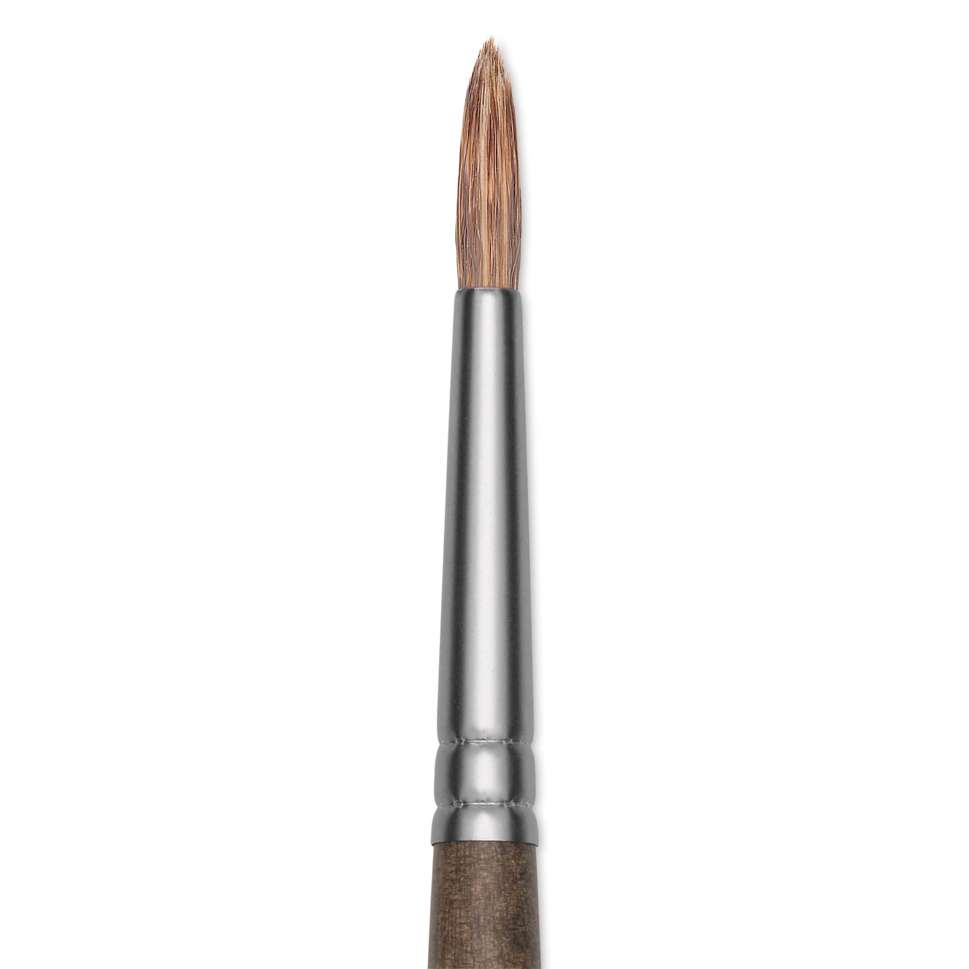 Princeton Pro Series 6000 Brush - Round, Long Handle, Size 0, close up
