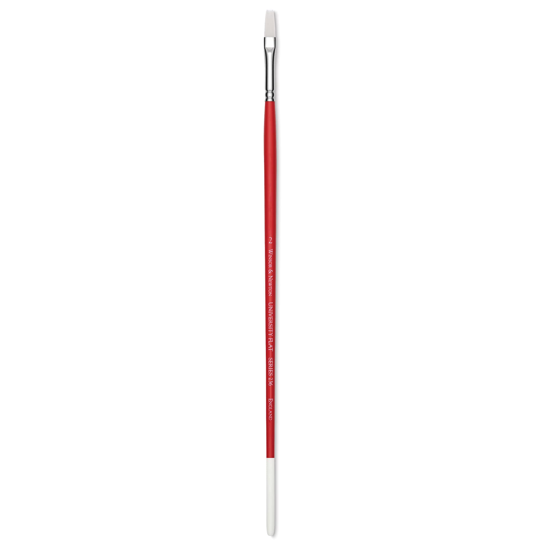 Winsor & Newton University Brush - Flat, Long Handle, Size 2