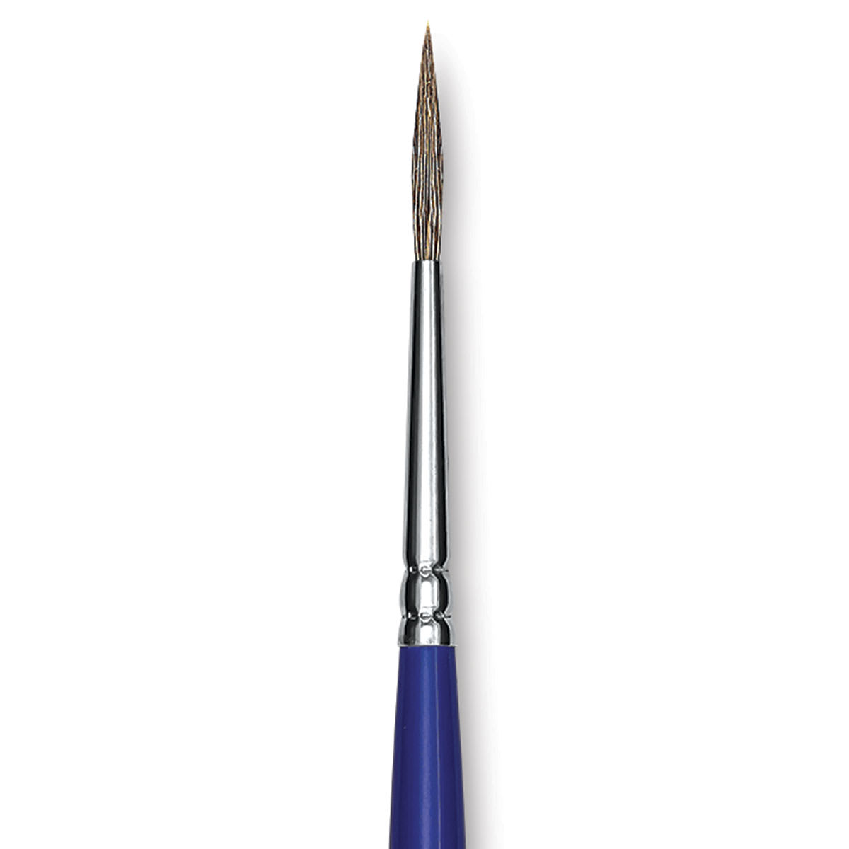 Blick Scholastic Ox Hair Brush - Script, Short Handle, Size 1 close up
