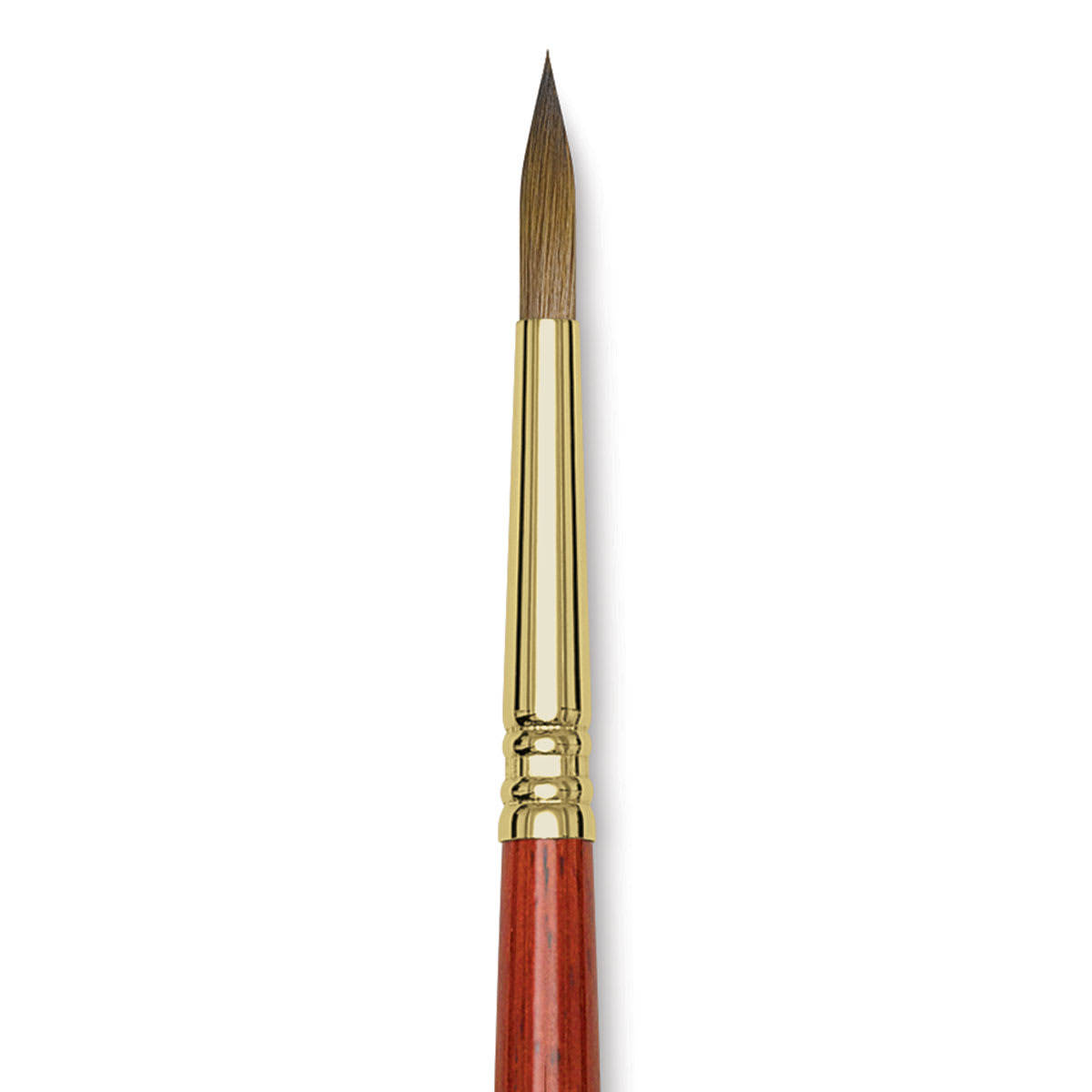 Blick Master Kolinsky Sable Brush - Pointed Round, Short Handle, Size 8 close up