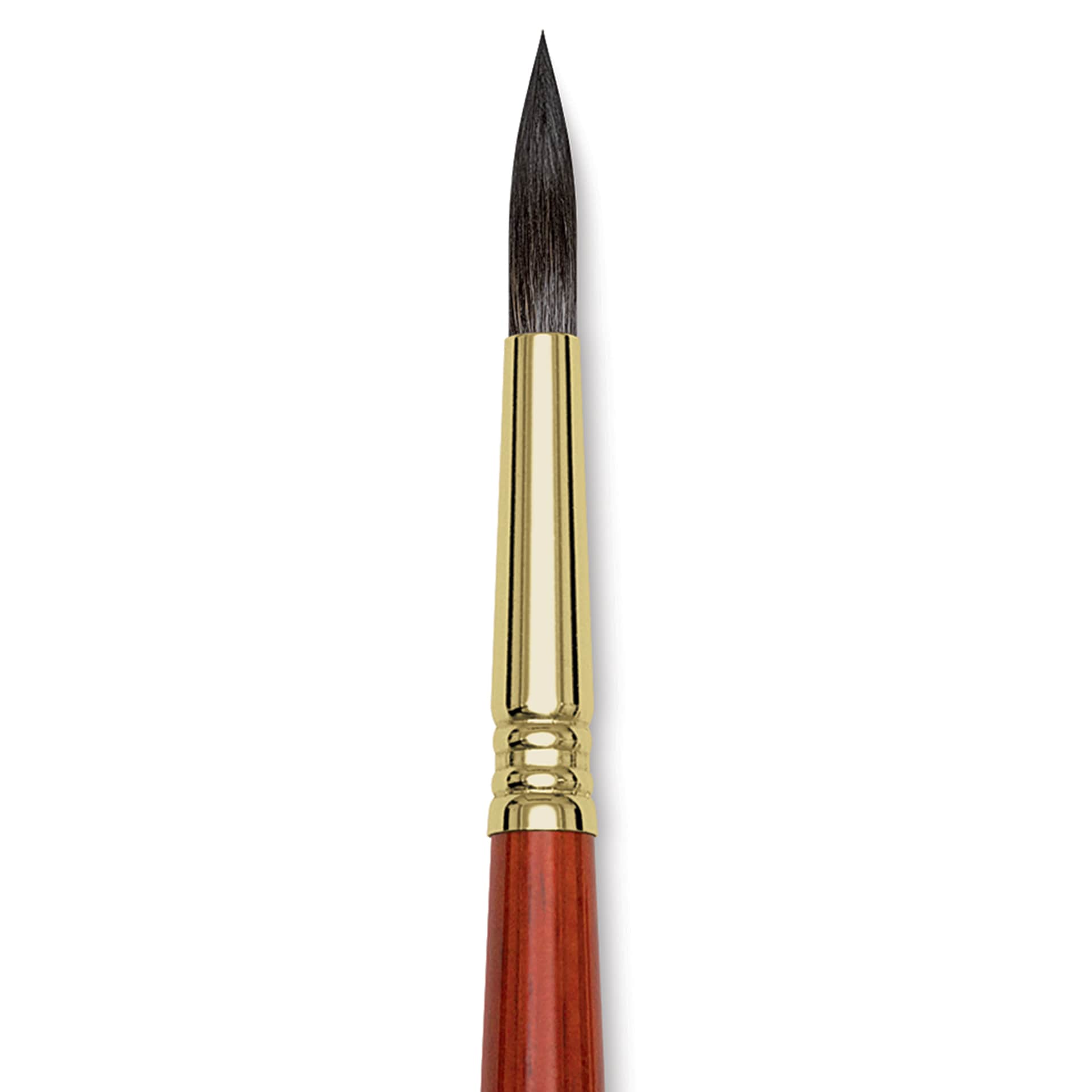 Blick Master Natural Brush - Round, Size 10, close-up