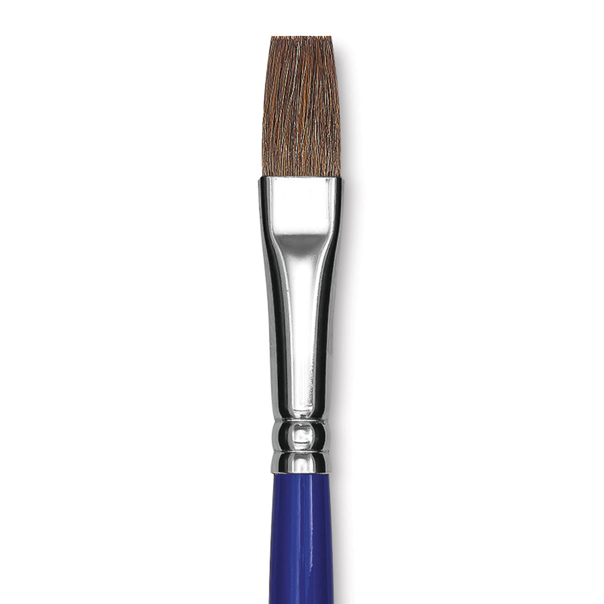 Blick Scholastic Pony Brush - Bright, Short Handle, Size 12 close up