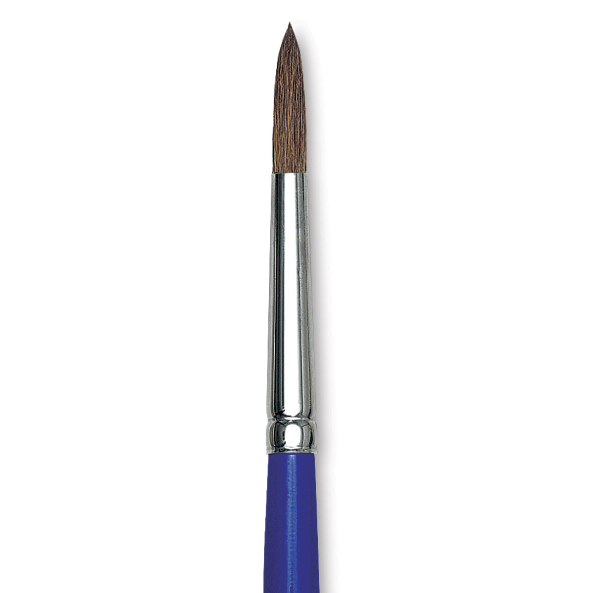 Blick Scholastic Camel Hair Brush - Round, Short Handle, Size 8 close up
