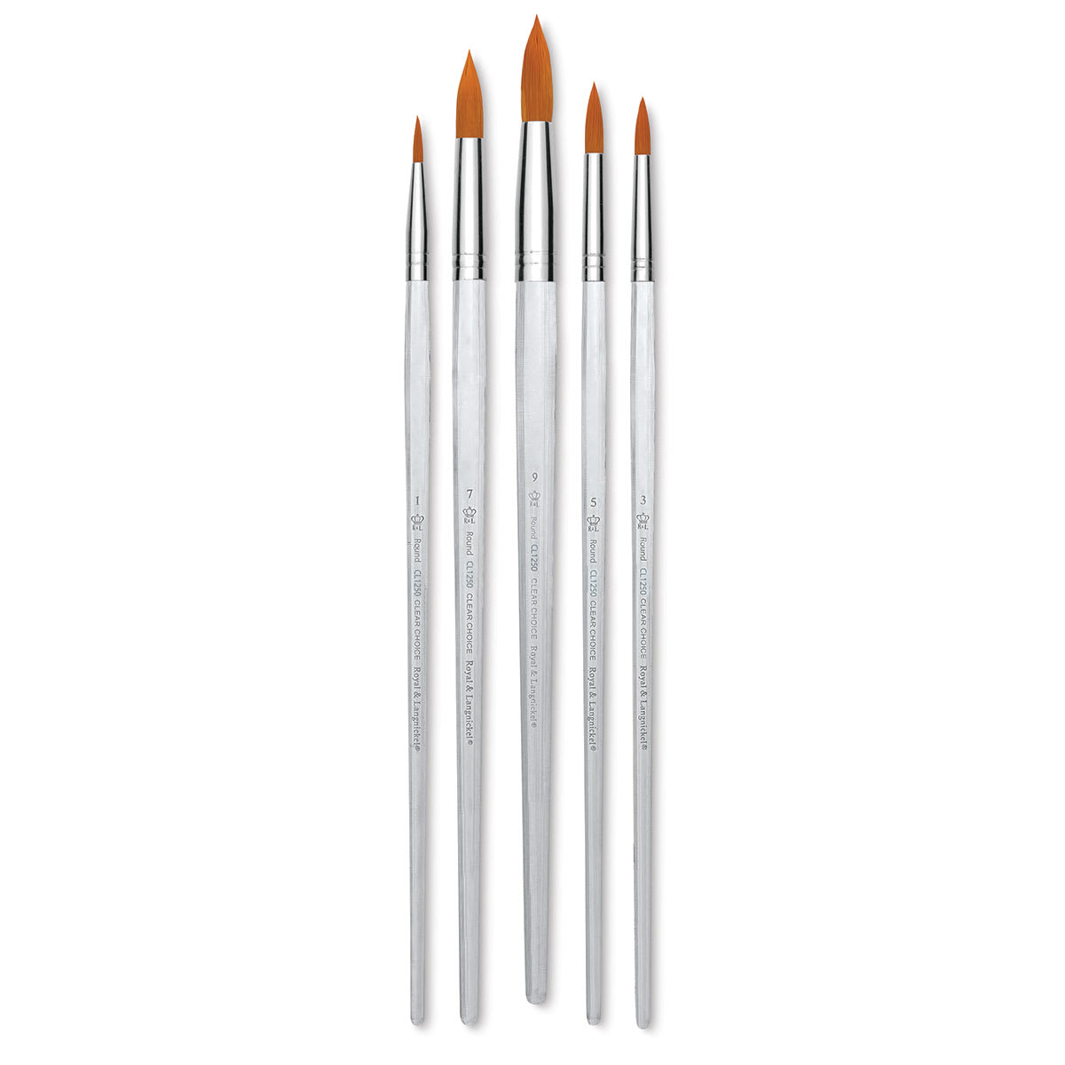 Royal Langnickel Clear Choice Brush Set - Golden Taklon, Round, Set of 60, Long Handle (full handle)