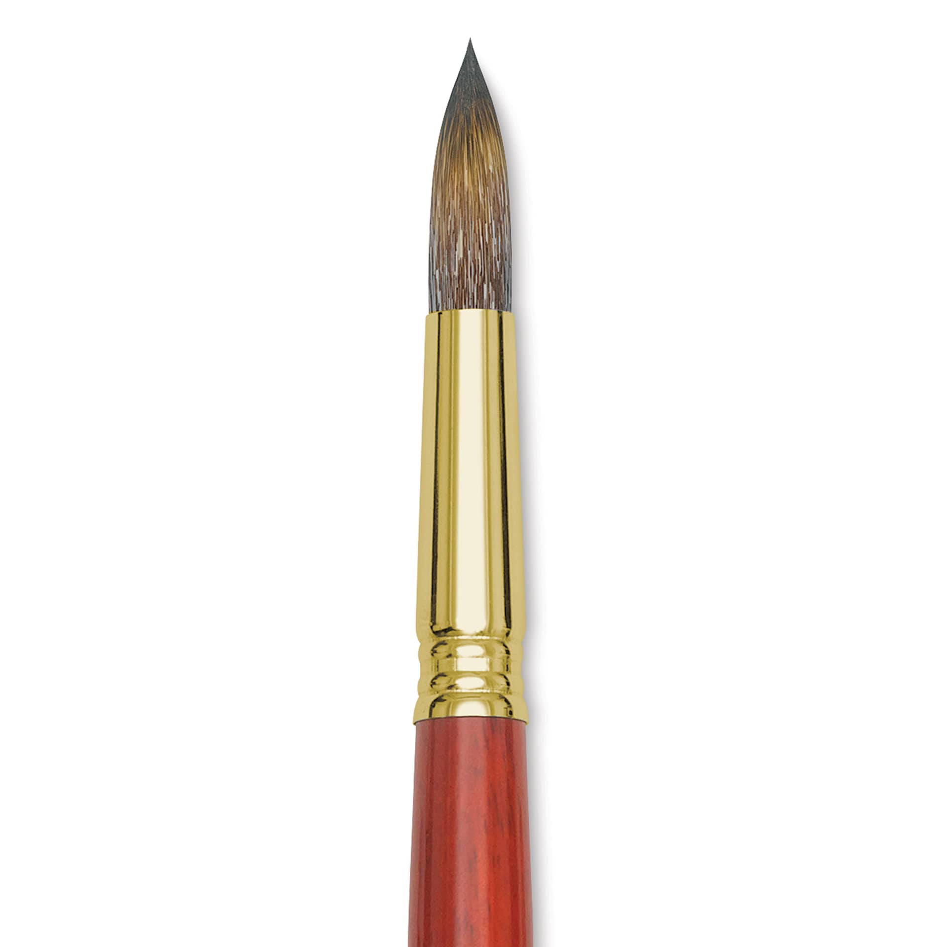 Blick Master Synthetic Brush - Round, Long Handle, Size 16, close-up