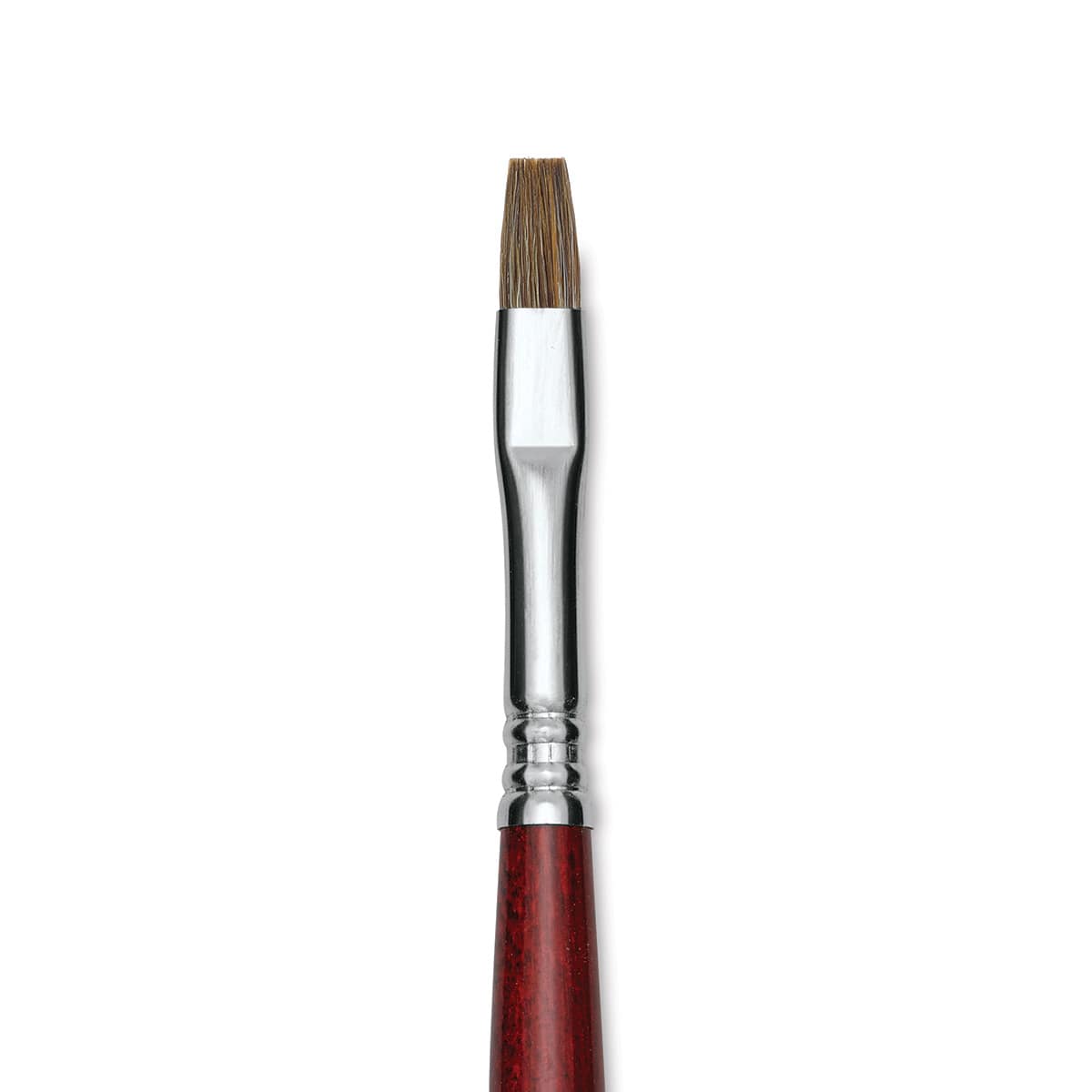 Escoda Bravo Light Ox Hair Brush - Bright, Long Handle, Size 8 close up