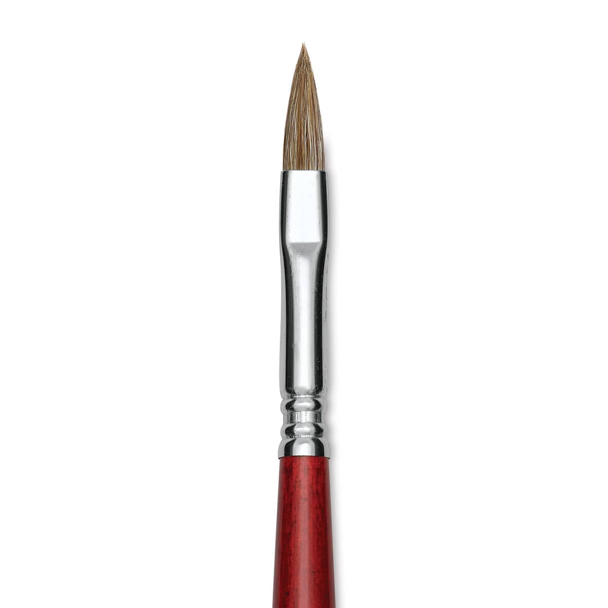 Escoda Bravo Light Ox Hair Brush - Long Filbert, Long Handle, Size 8 close up