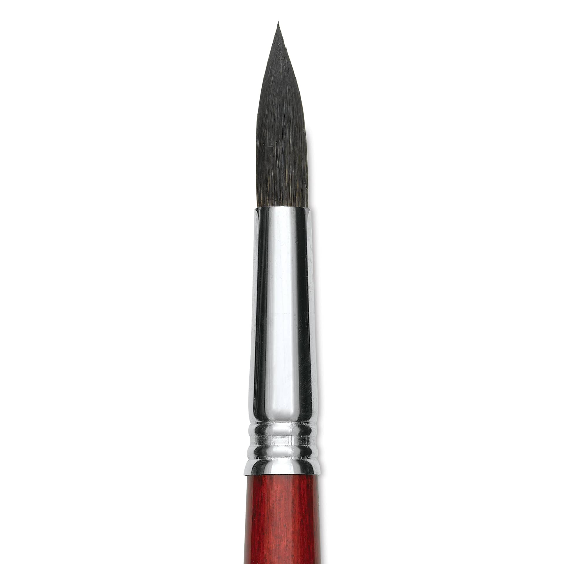 Escoda Aquario Squirrel Hair Brush - Round, Short Handle, Size 16, close-up