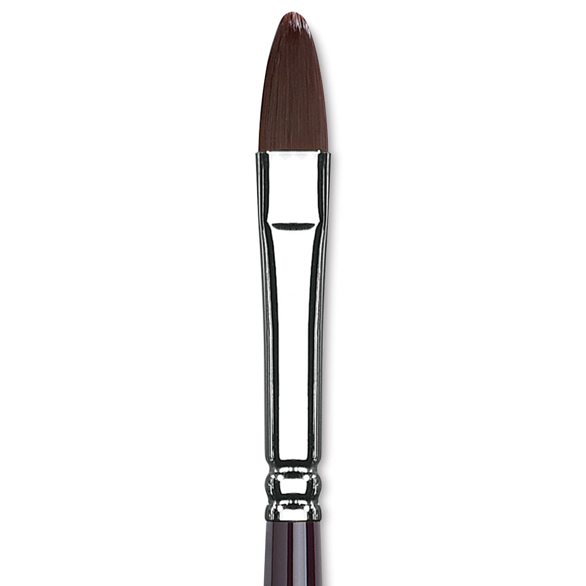 Winsor & Newton Galeria Brush - Filbert, Size 8, Long Handle (close-up to show brush head)