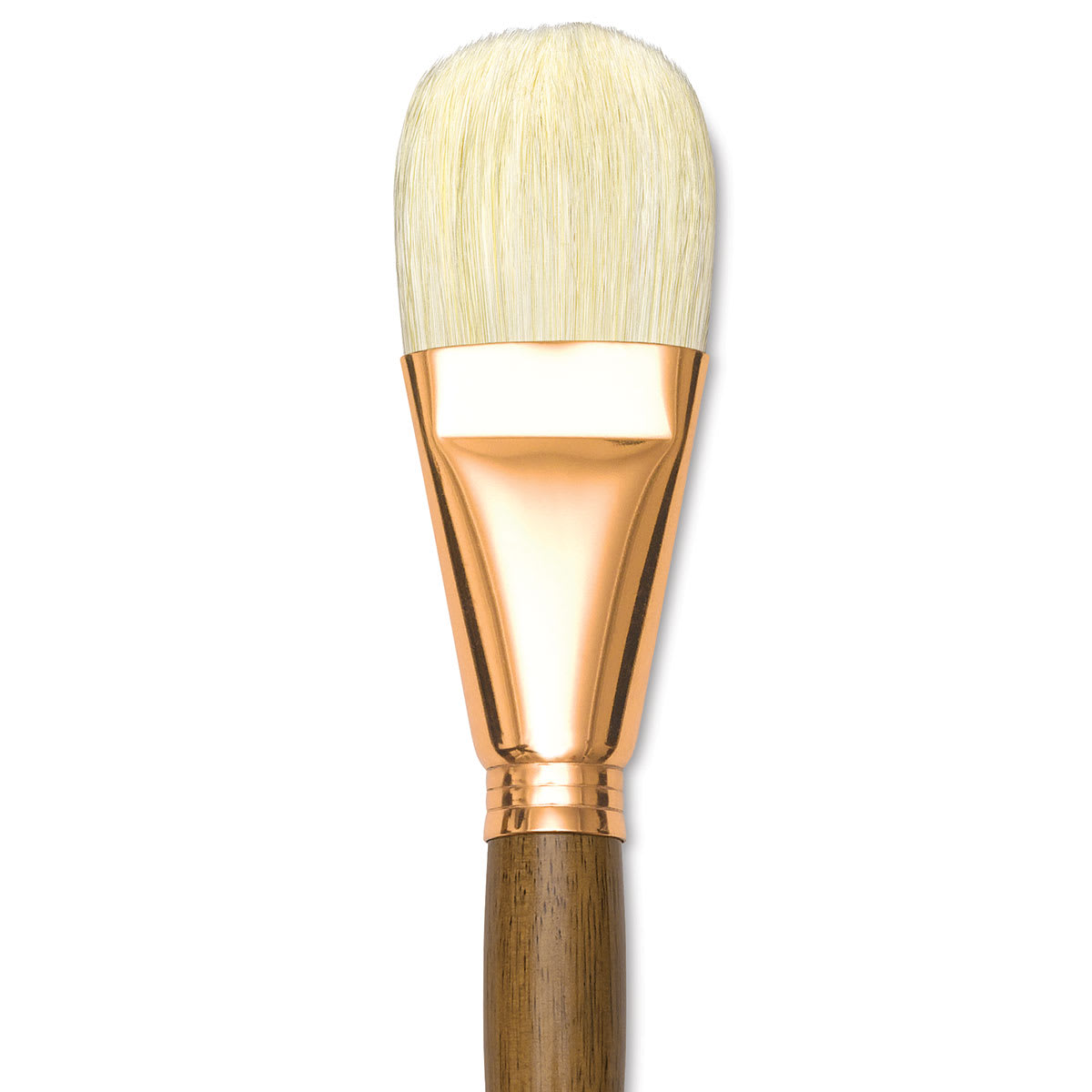 Princeton Best Natural Bristle Brush - Filbert, Long Handle, Size 20 close up