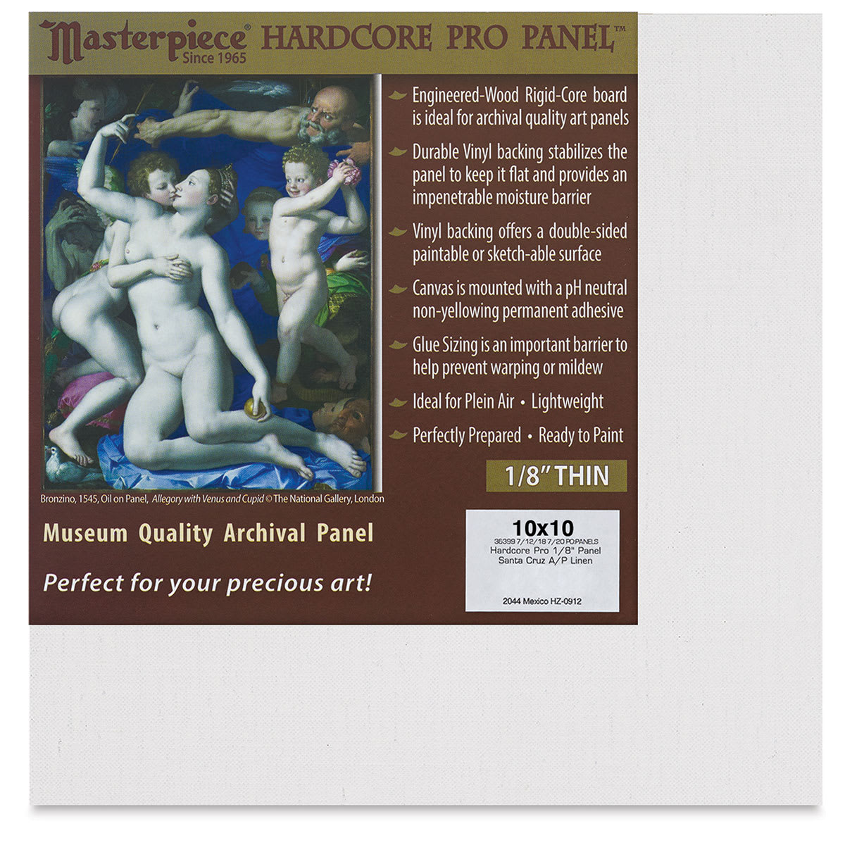 Masterpiece Santa Cruz Hardcore Pro Canvas Panel - 10" x 10"