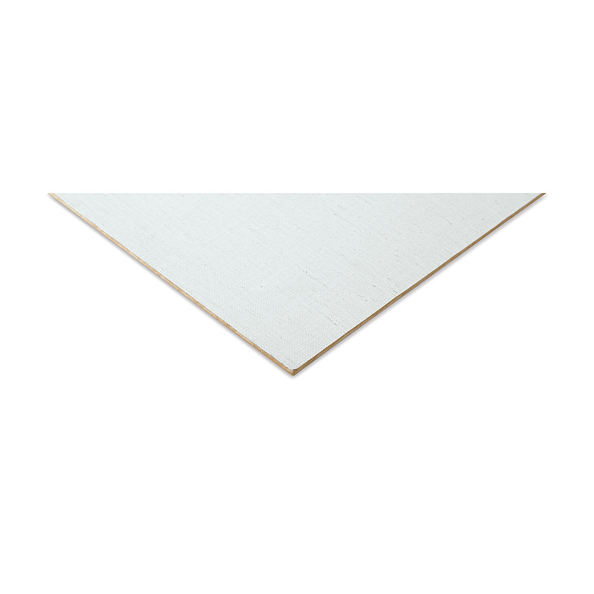 Masterpiece Santa Cruz Hardcore Pro Canvas Panel - 20" x 24" corner edge view