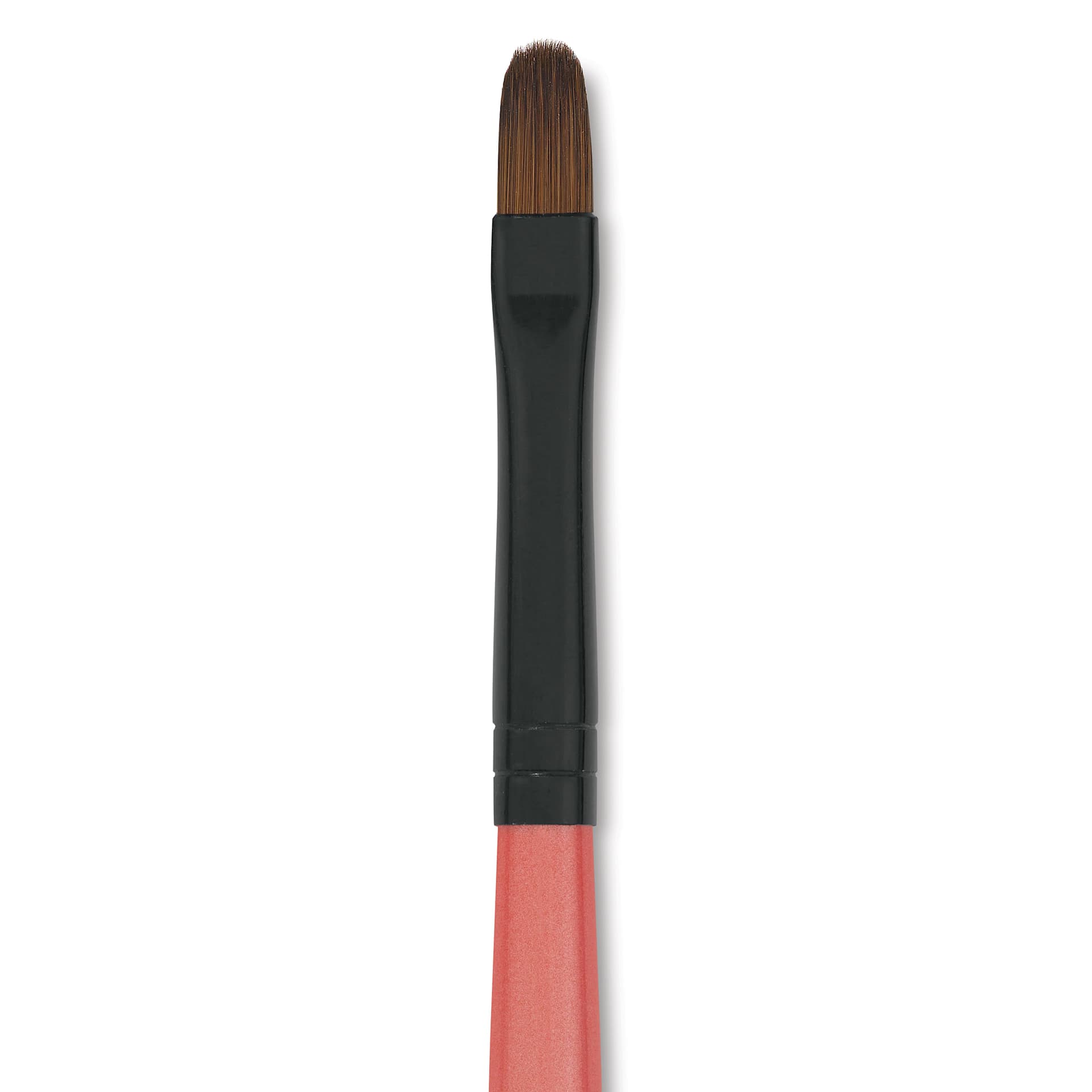 Dynasty Water Lily Watercolor Brush - Short Handle, Filbert, Size 6, close-up