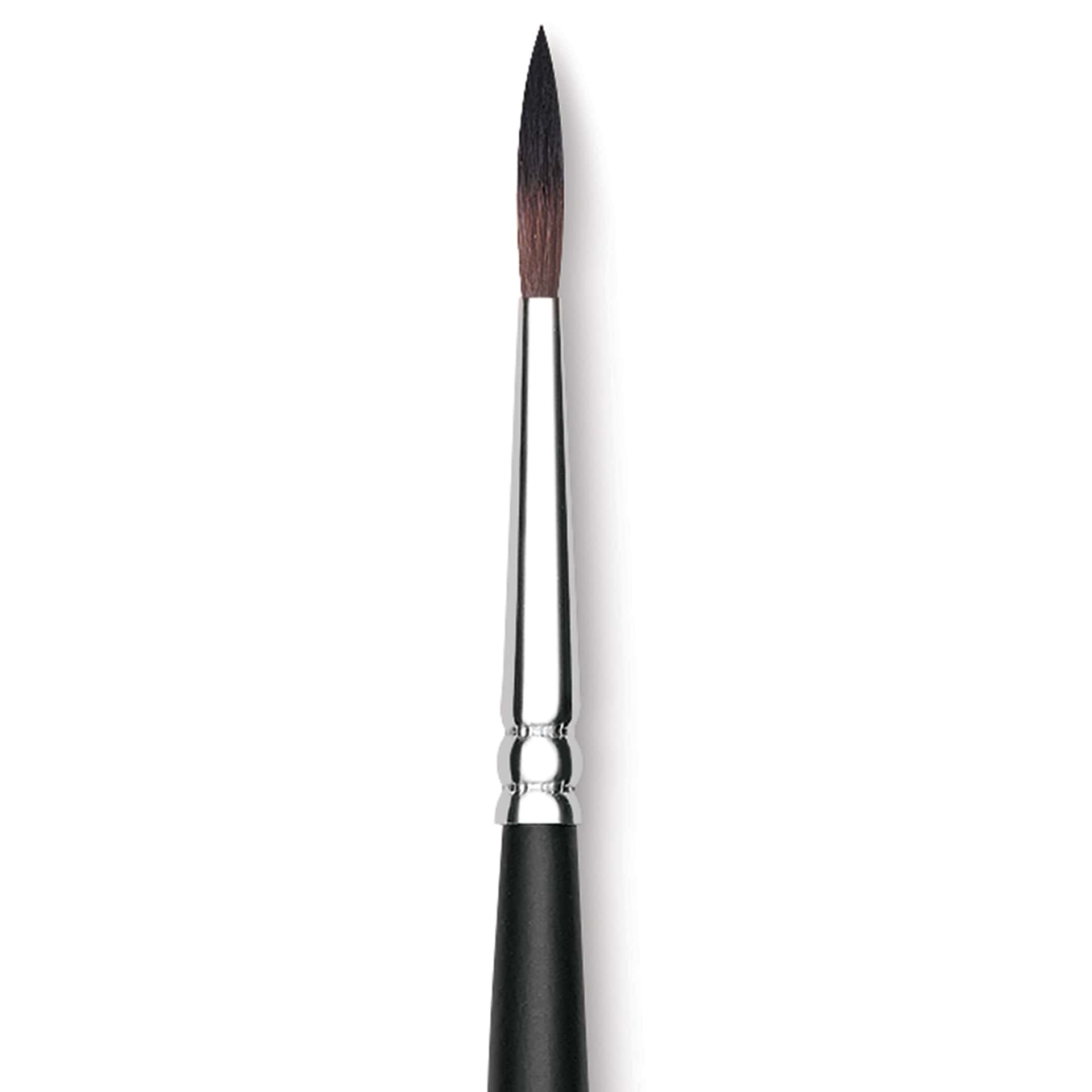Raphaël Soft Aqua Brush - Round, Size 6, Short Handle close up