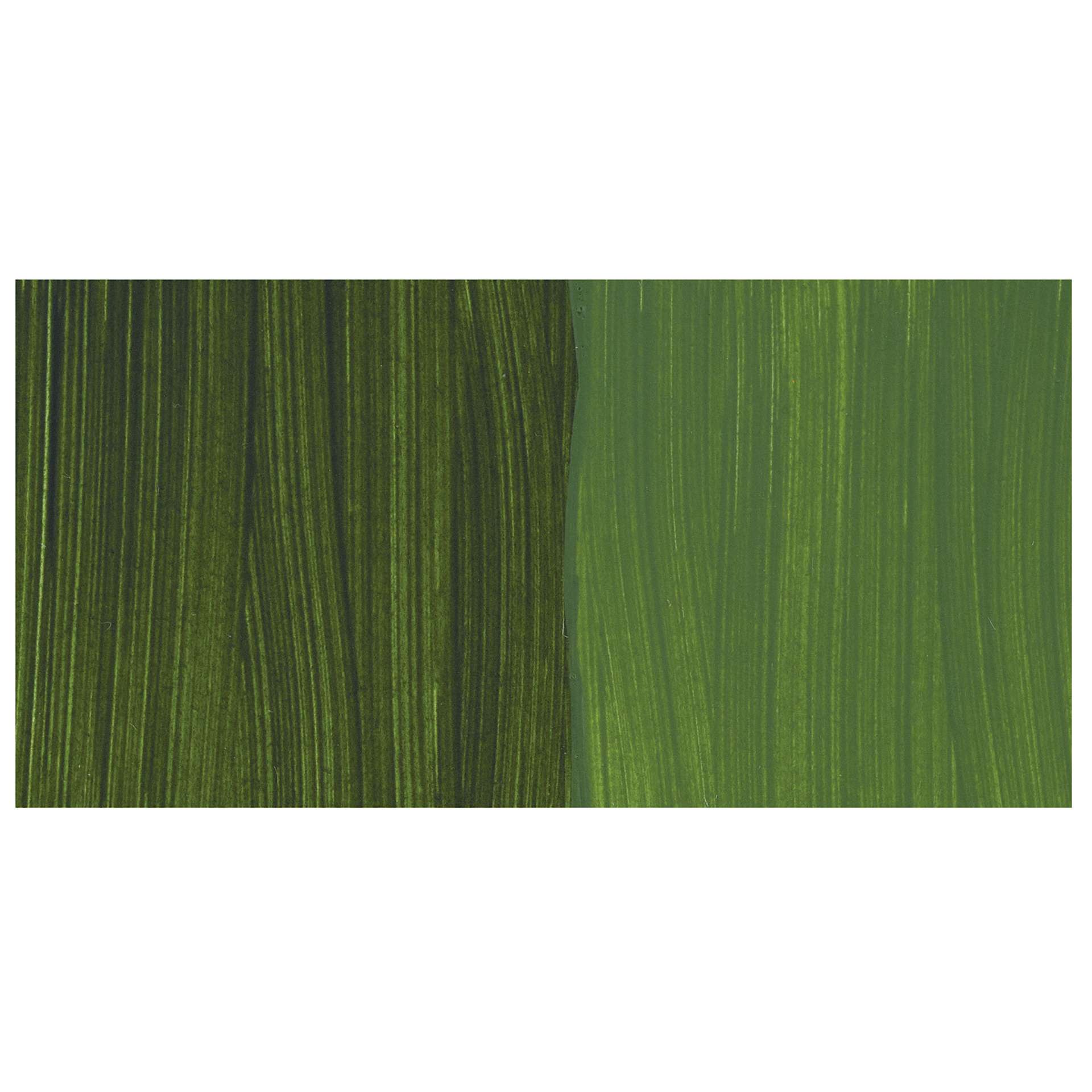Golden Paintworks Mural and Theme Acrylic Paint - Sap Green swatch
