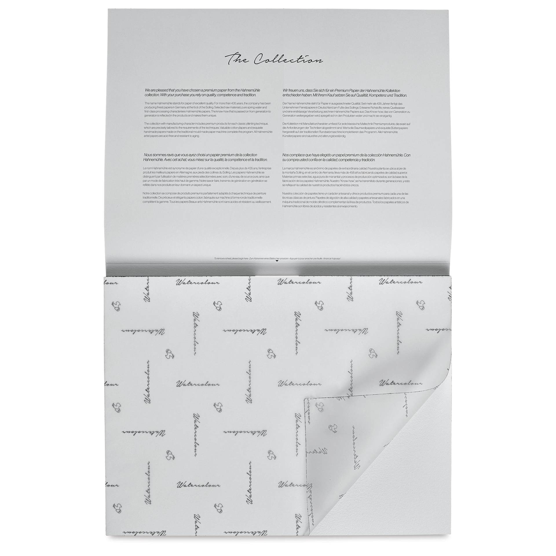 Hahnemühle The Collection Watercolor Block - Cold Press, 11.8" x 15.7", 300 lb, 10 Sheets cover sheet on block