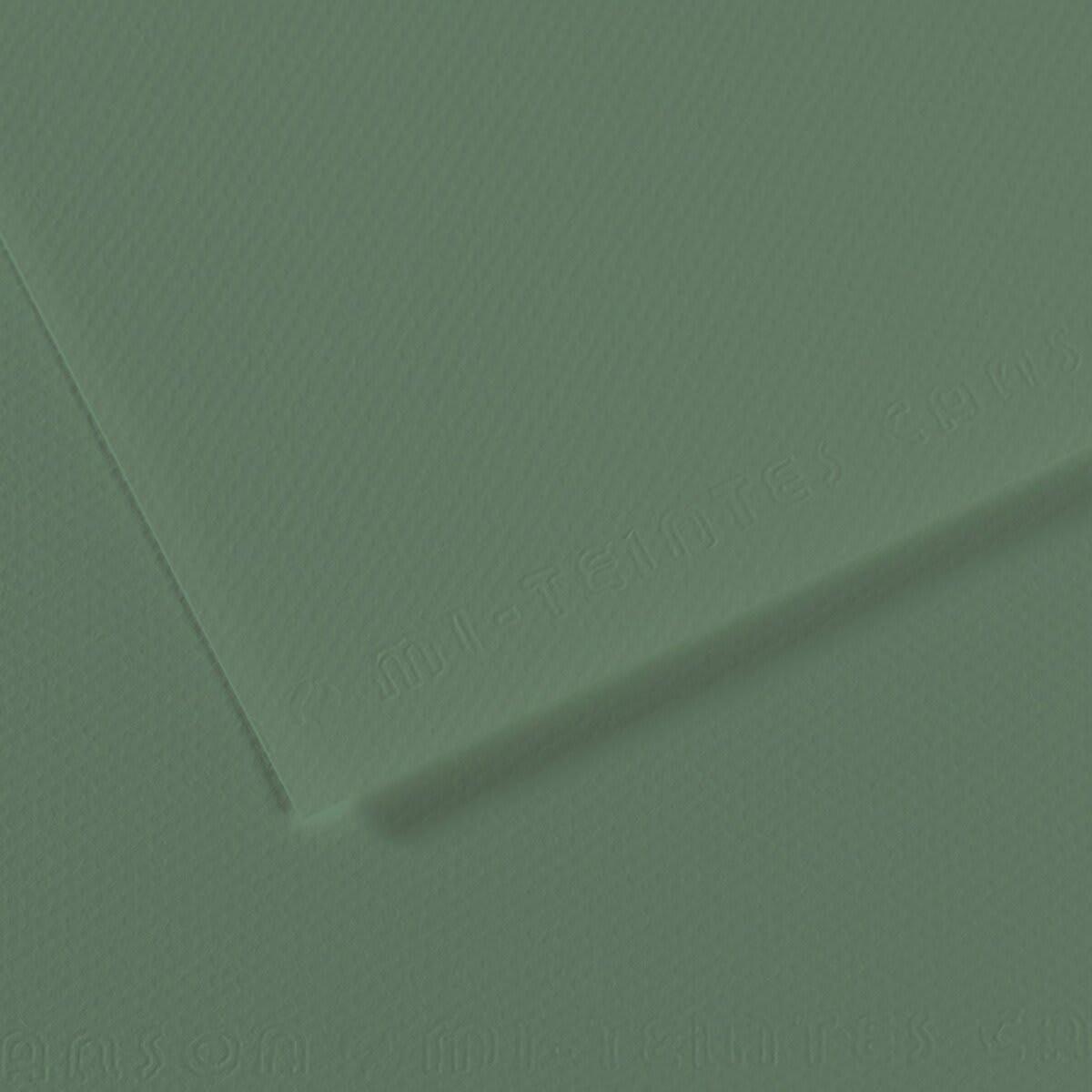 Canson Mi-Teintes Drawing Paper - 8-1/2" x 11", Sage Green, Single Sheet