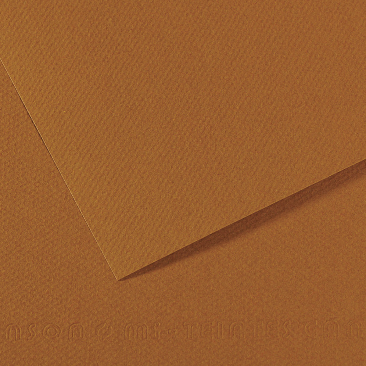 Canson Mi-Teintes Drawing Paper - 19" x 25", Havana Clear, Single Sheet
