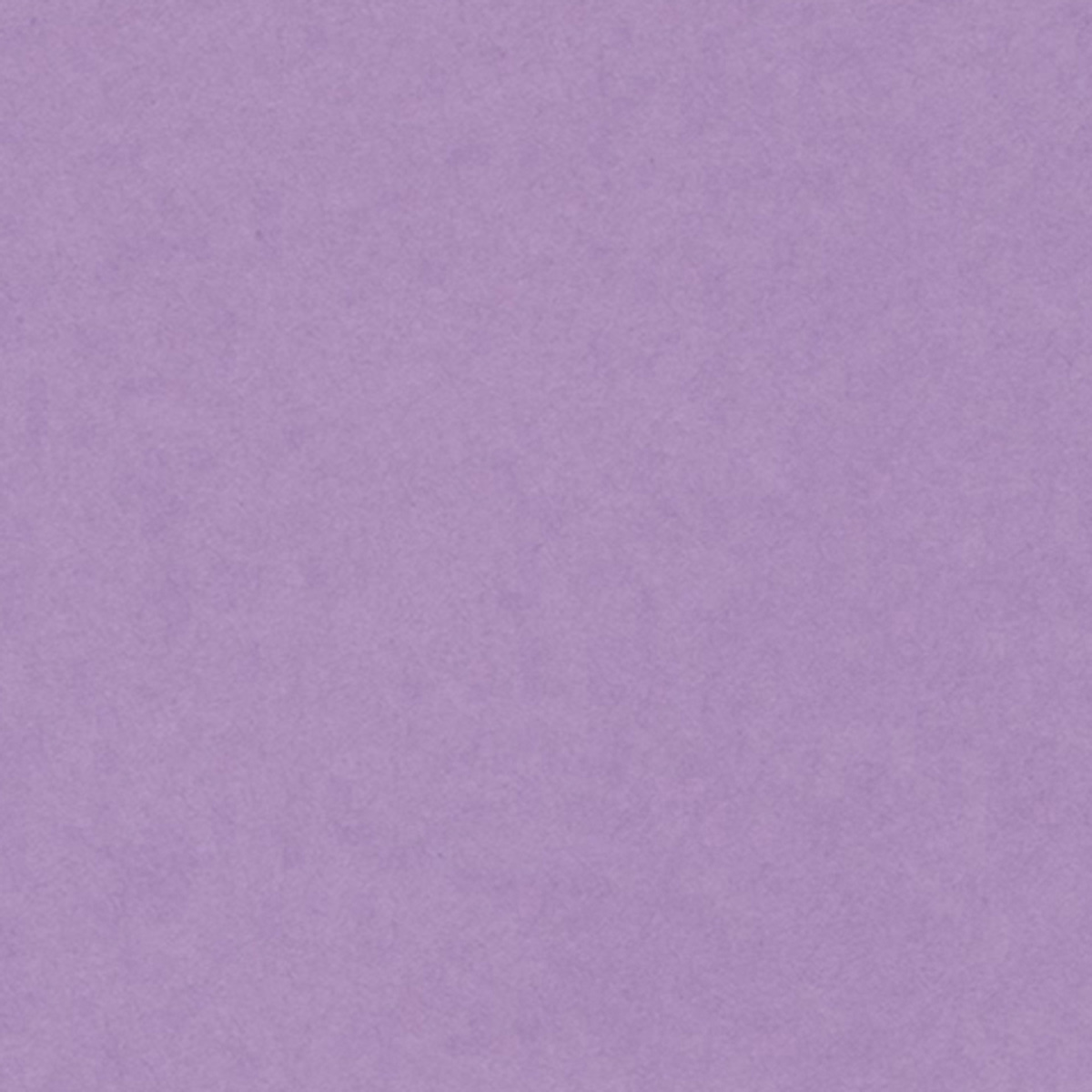 COLORLINE DRAW PAPER 300G 8.5X11 LILAC