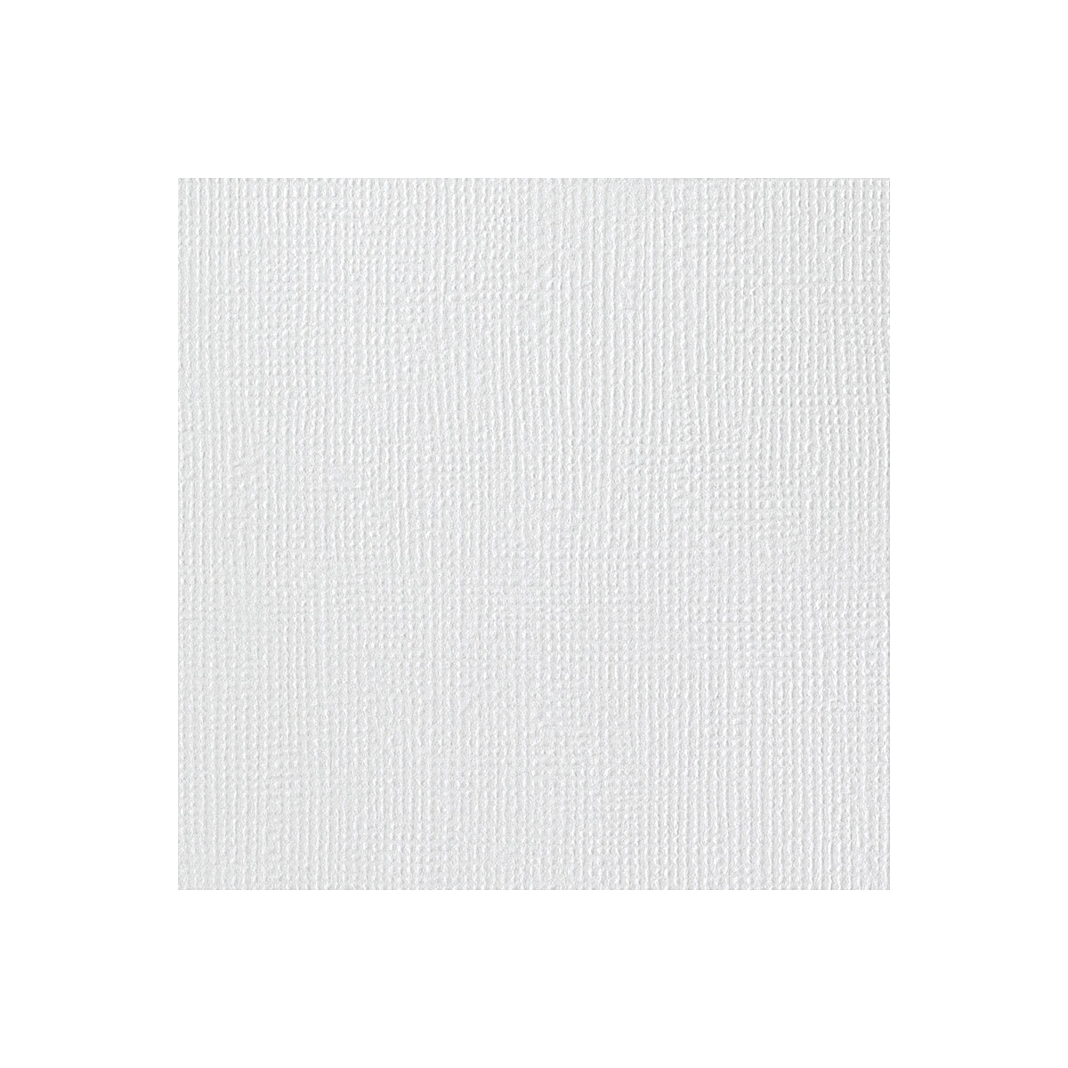 American Crafts Textured Cardstock - Full sheet of White cardstock