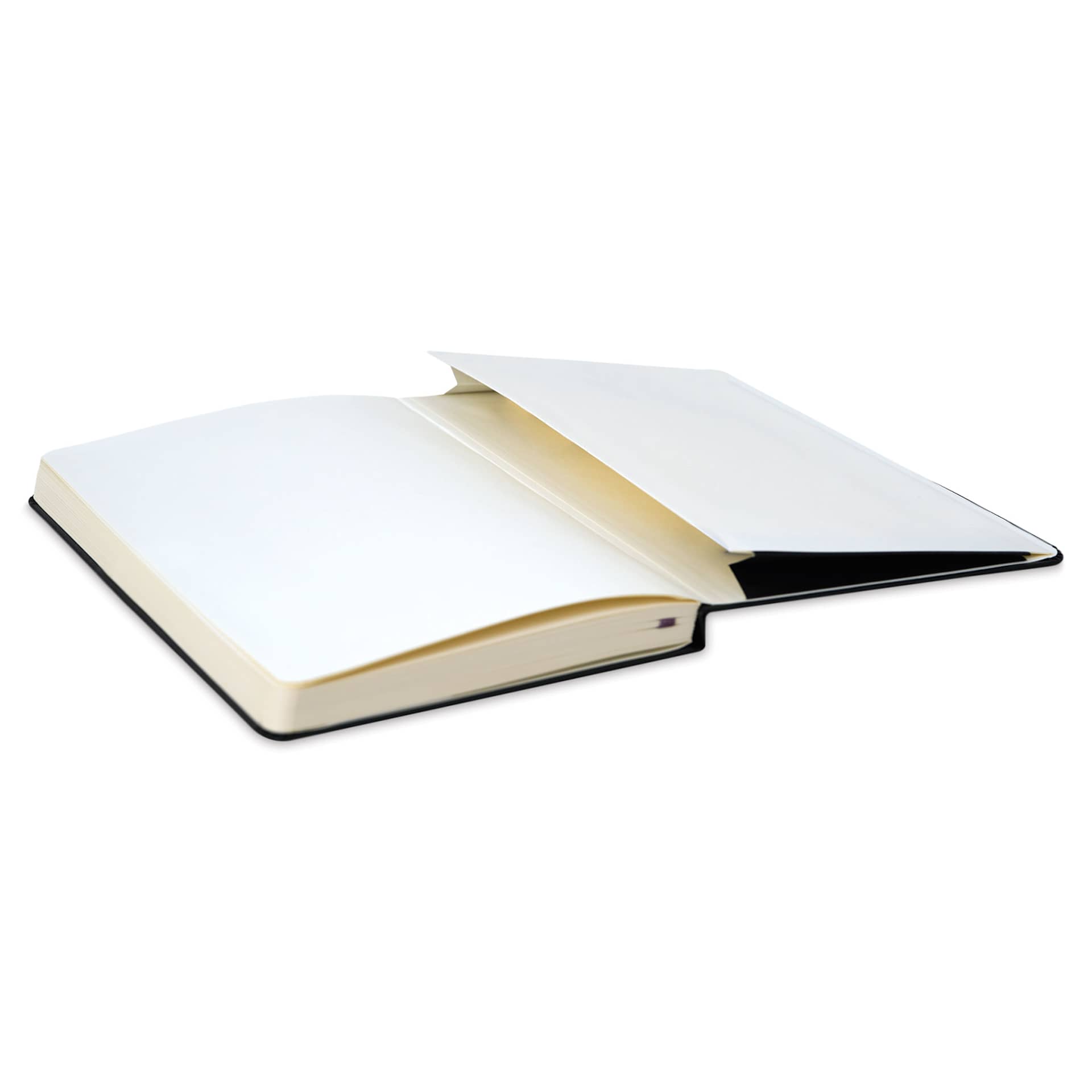 Moleskine Music Notebook - Angled view open showing pocket