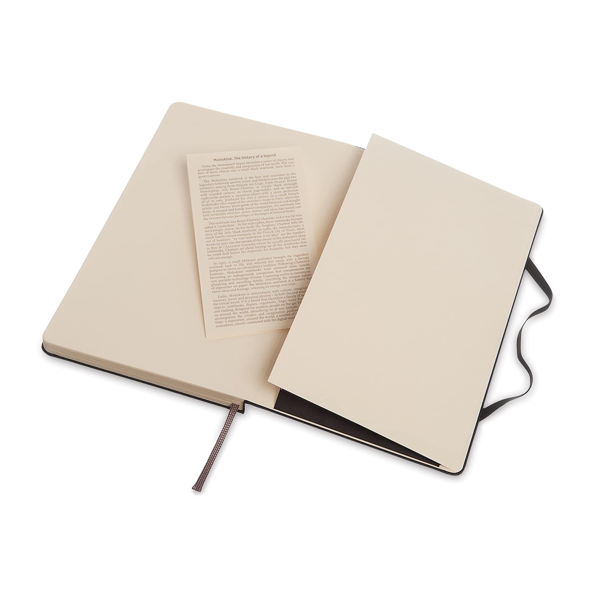 Moleskine Classic Hardcover Notebook - Black, Dotted, 5-1/2" x 3-1/2" (open to back pocket)