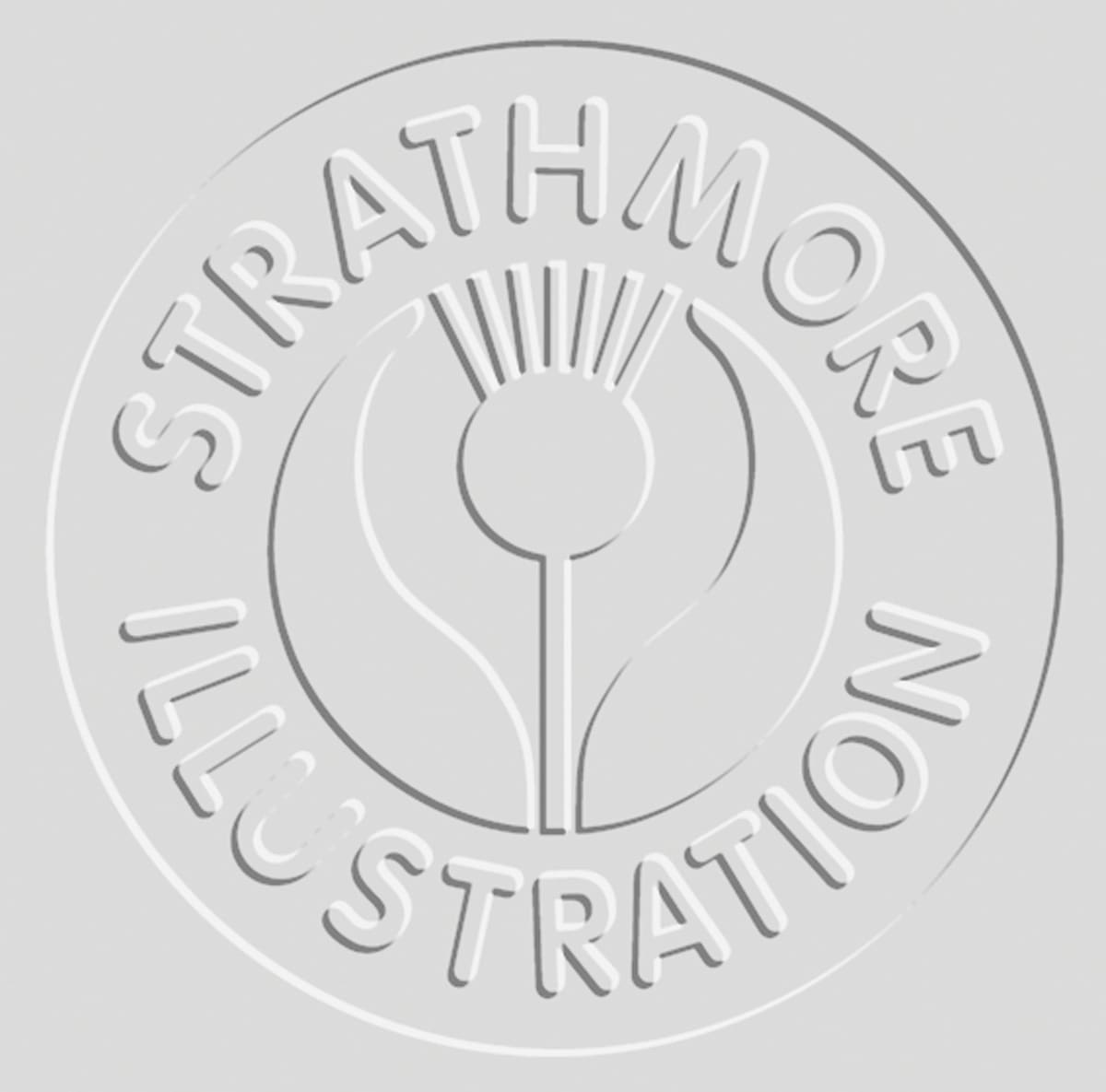 Strathmore Illustration Board 500 Series, Plate Surface, 20 in x 30 in, Heavy