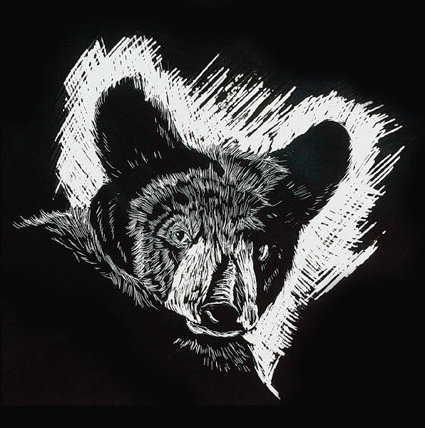 Scratch-Art Scratchboard