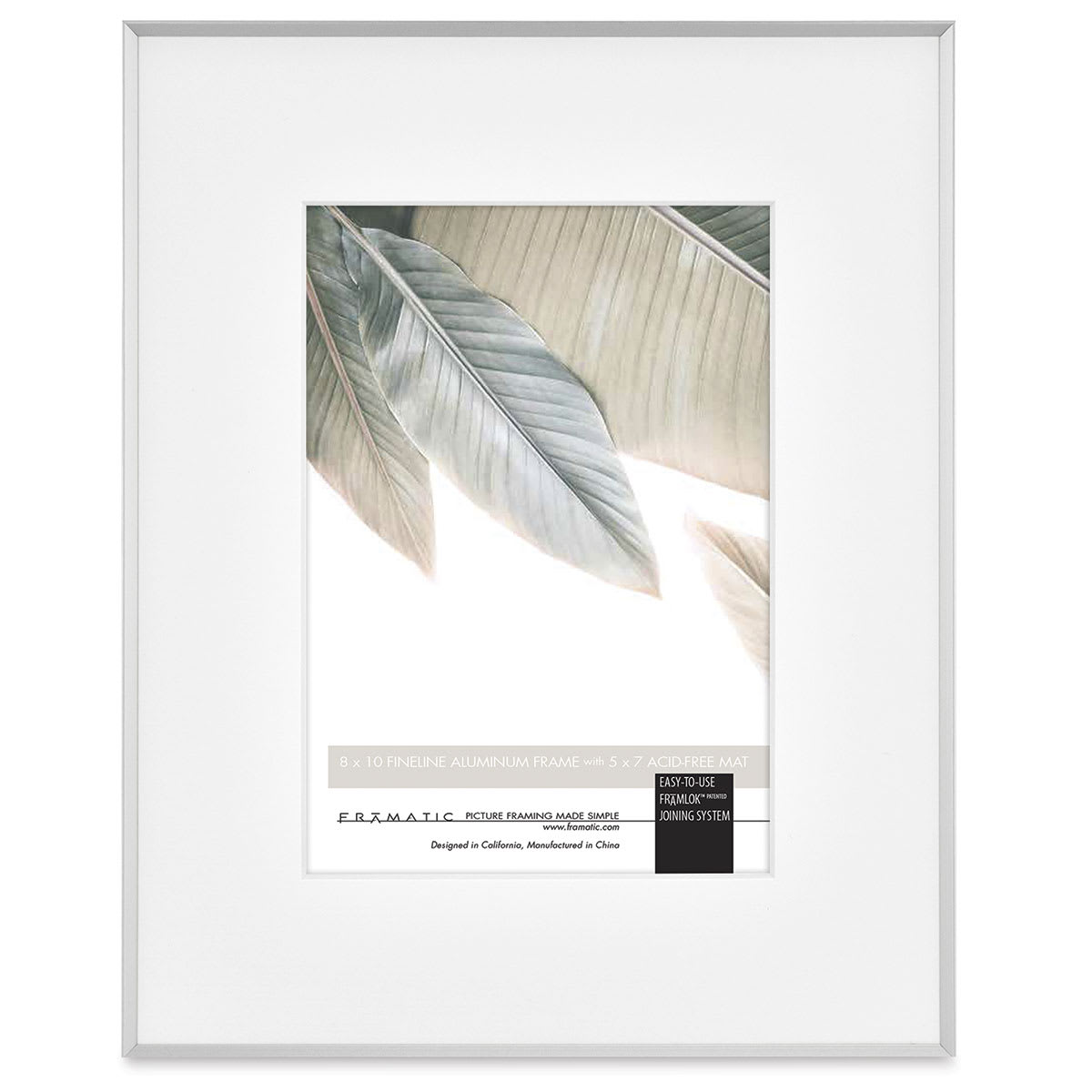 MCS Framatic Fineline II Frames - Front of Silver frame with Mat