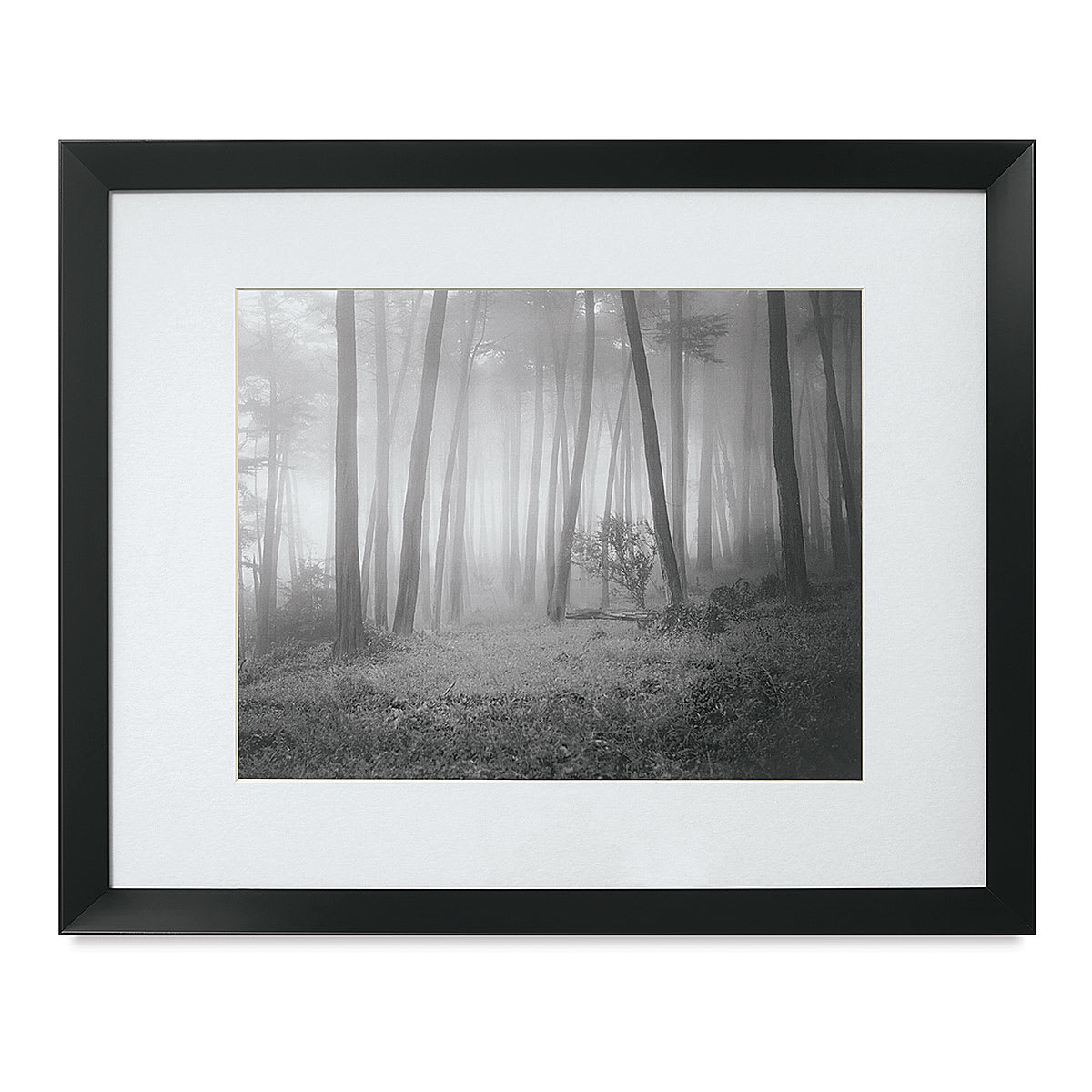 Blick Tempo Frame