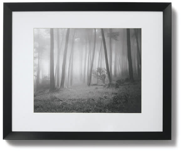Blick Tempo Frame