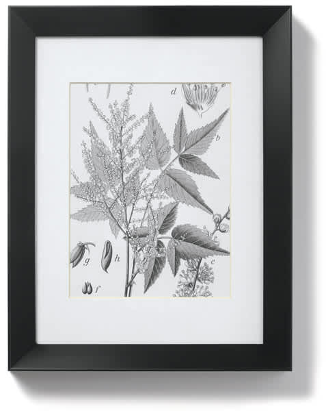Blick Tempo Frame