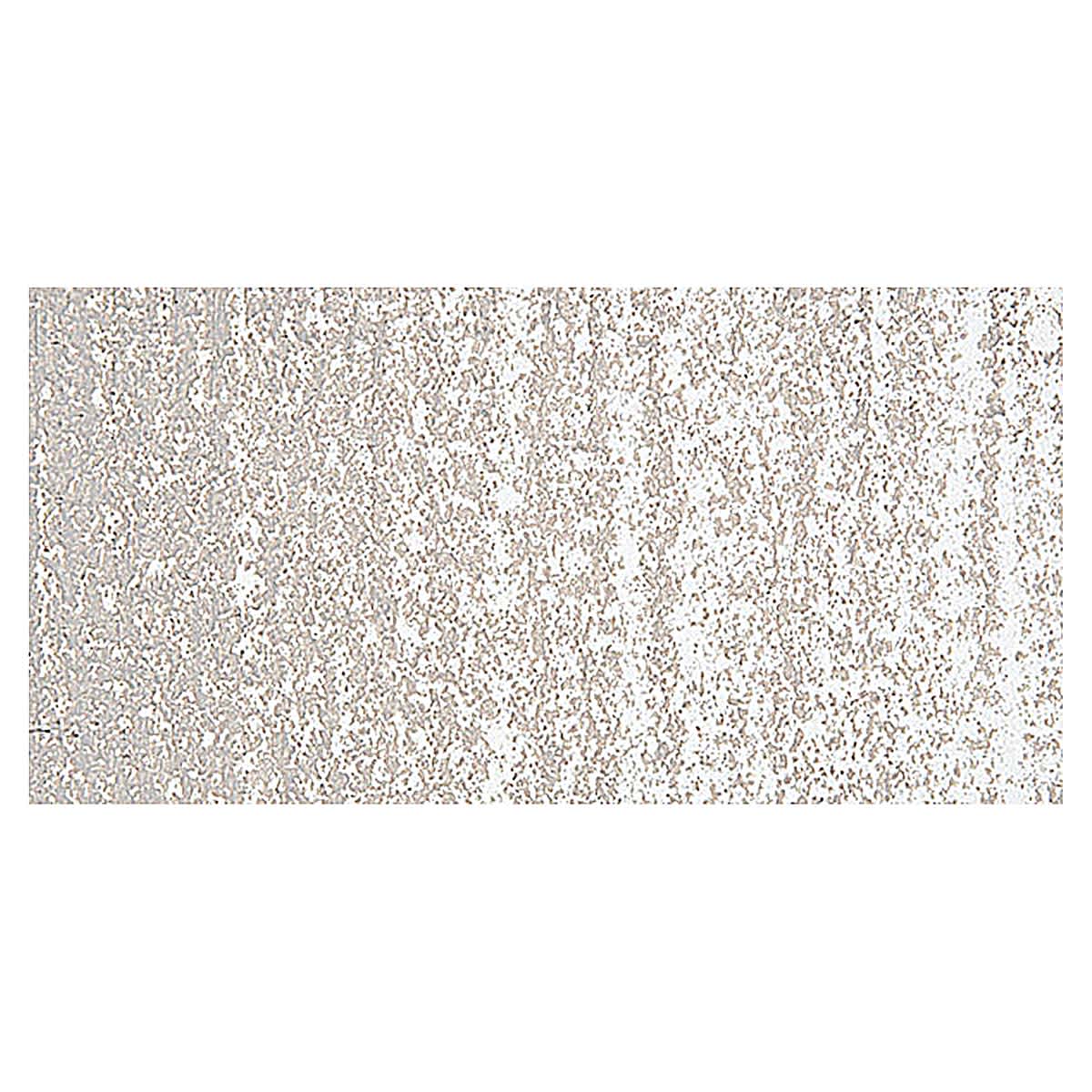 Holbein Artists' Oil Pastel - Warm Gray 3 swatch