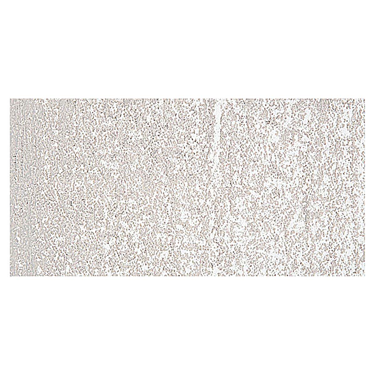 Holbein Artists' Oil Pastel - Warm Gray 4 swatch