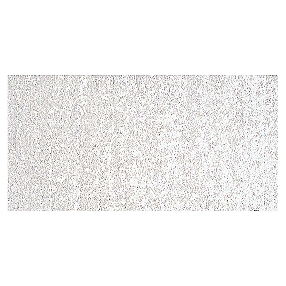 Holbein Artists' Oil Pastel - Warm Gray 5 swatch